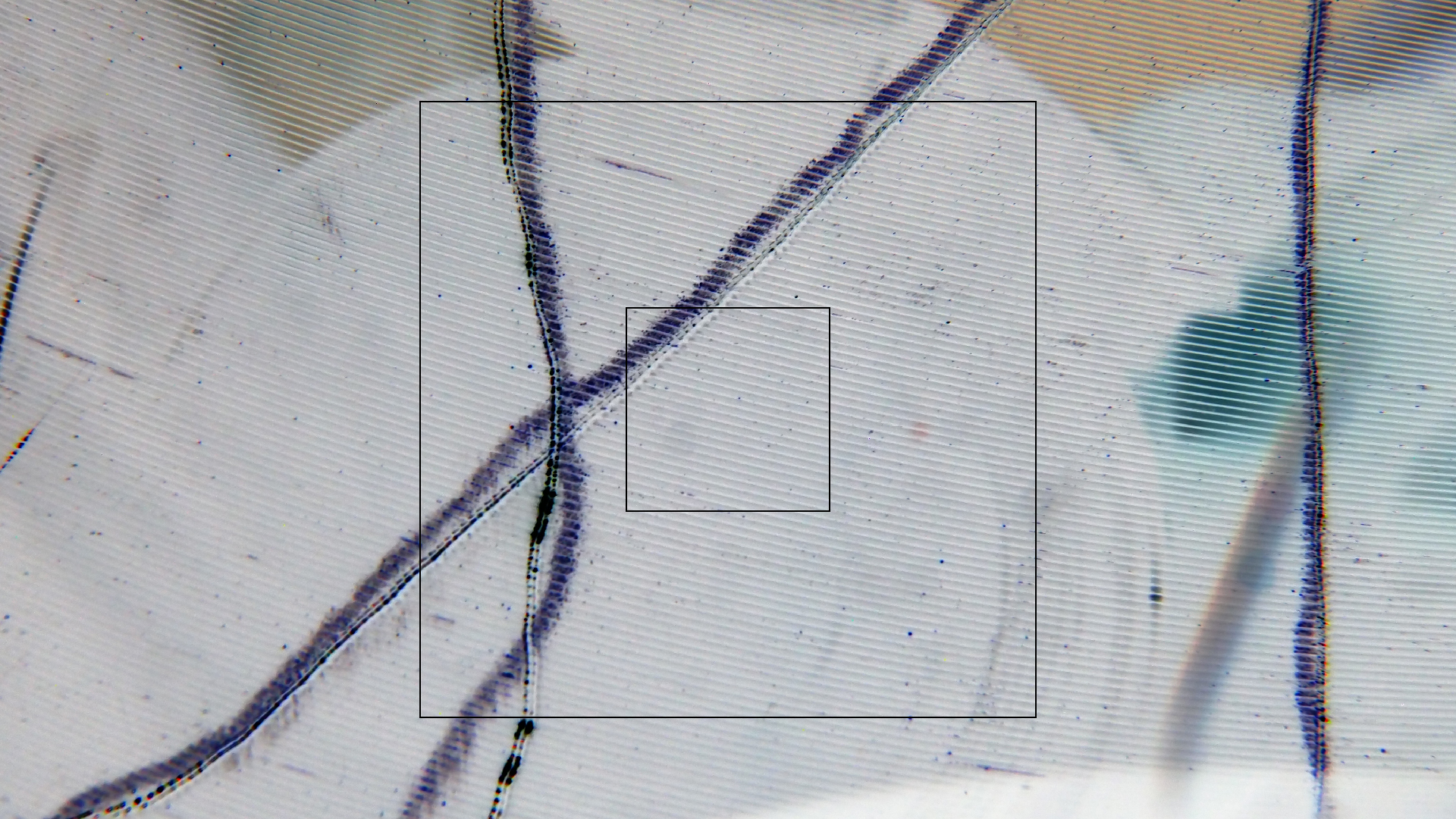 2023-02-03 wendelrekords 4, 2. Entwurf Etiketten (Foto Grafik)