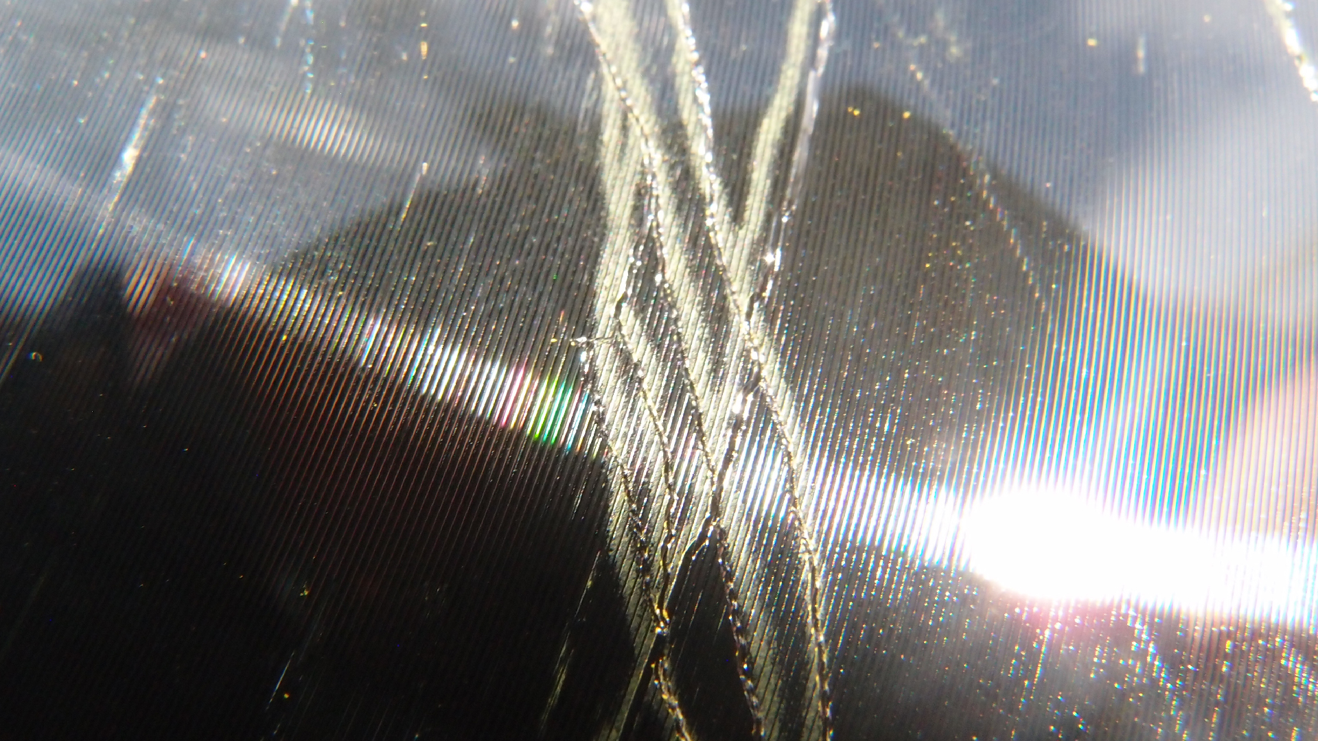 2023-02-03 wendelrekords 4, 2. Entwurf Etiketten (Foto Grafik)