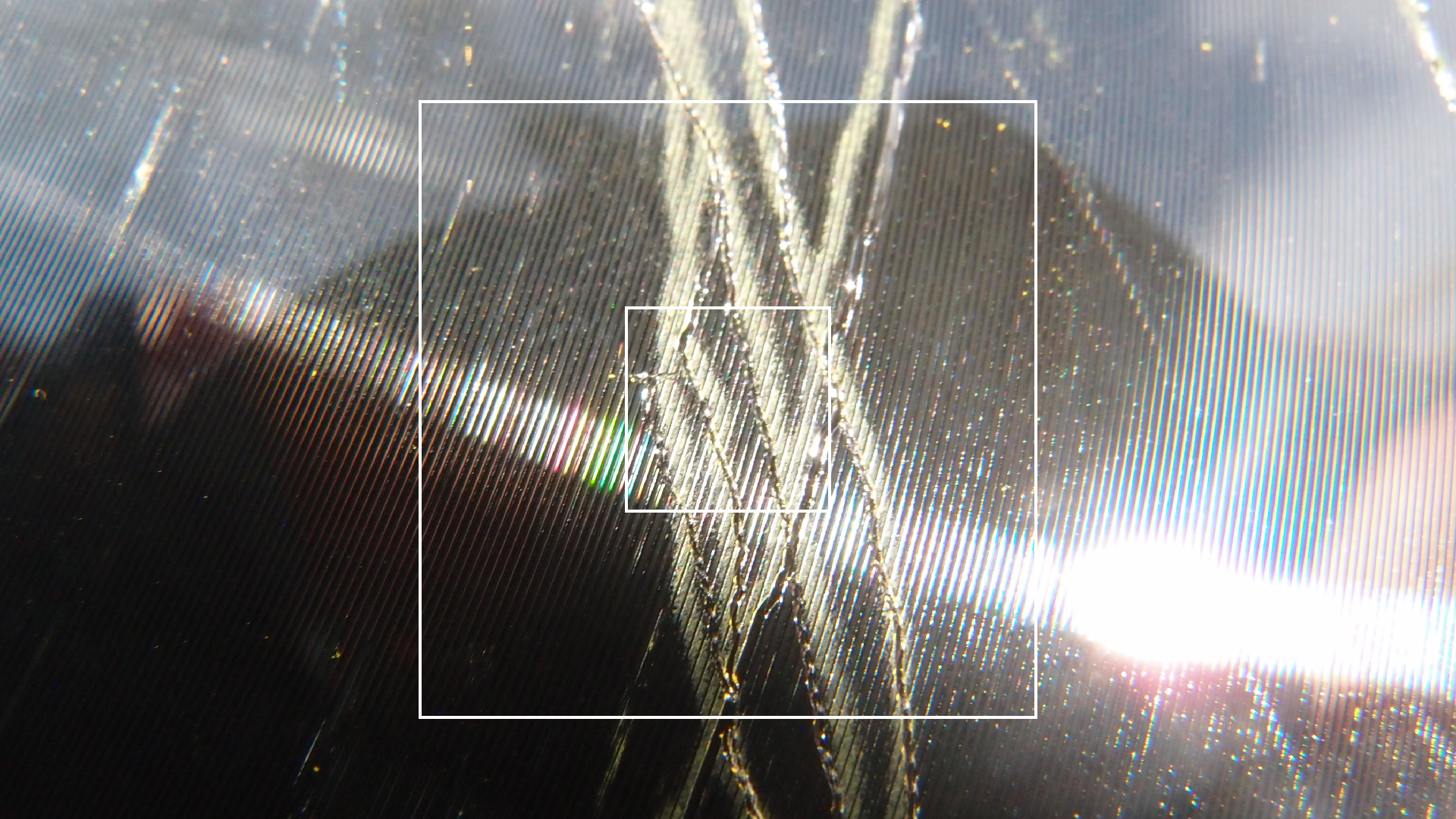 2023-02-03 wendelrekords 4, 2. Entwurf Etiketten (Foto Grafik)