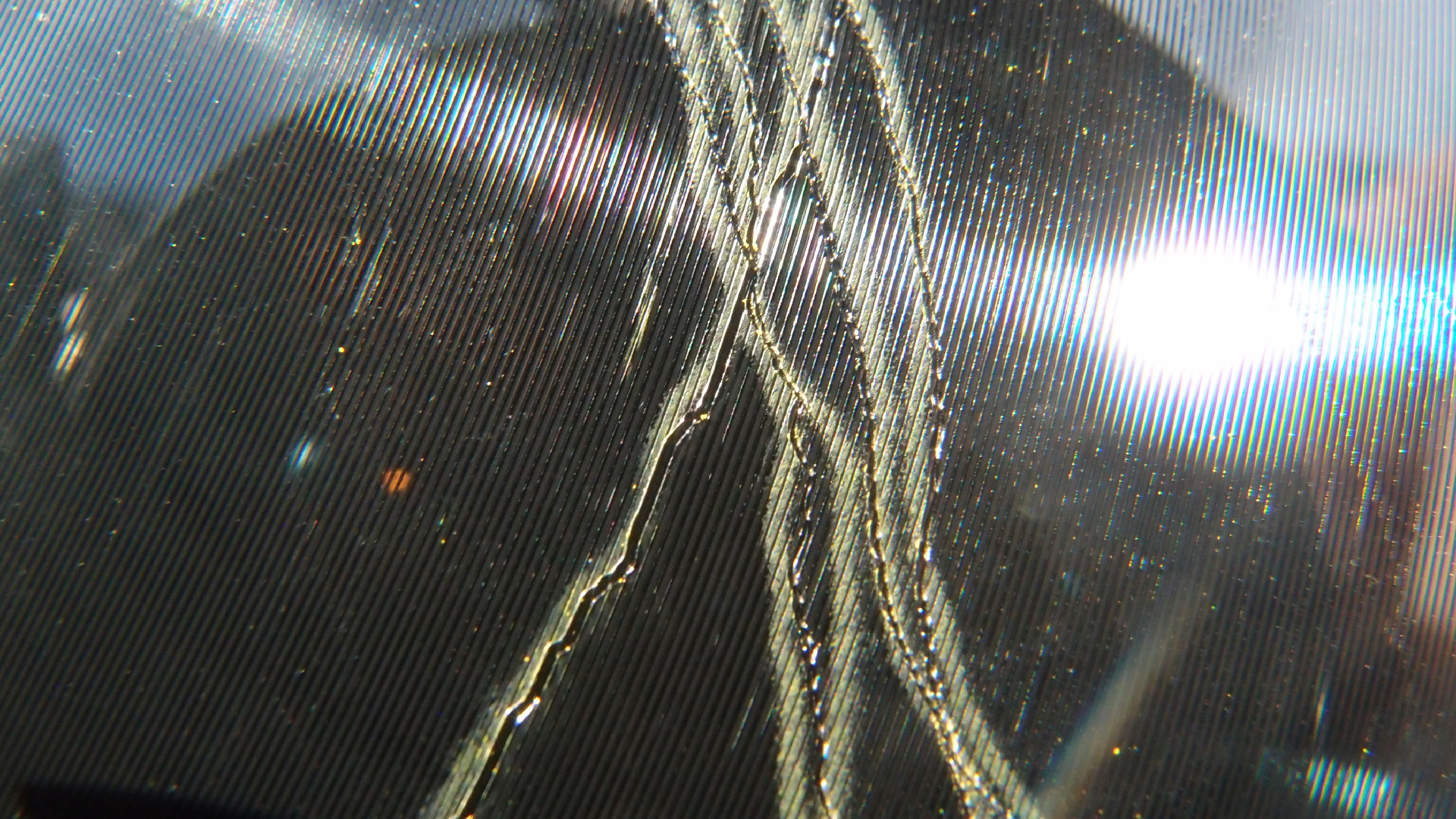 2023-02-03 wendelrekords 4, 2. Entwurf Etiketten (Foto Grafik)