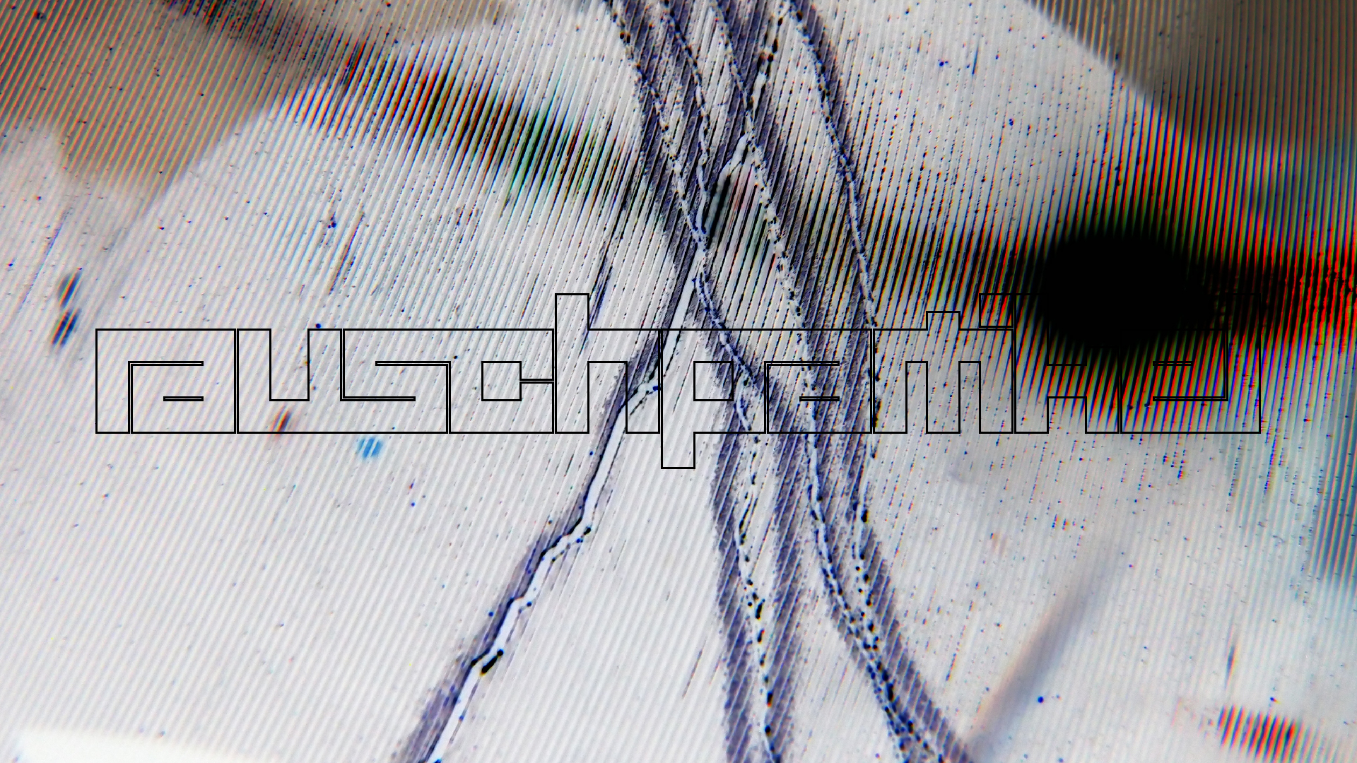 2023-02-03 wendelrekords 4, 2. Entwurf Etiketten (Foto Grafik)