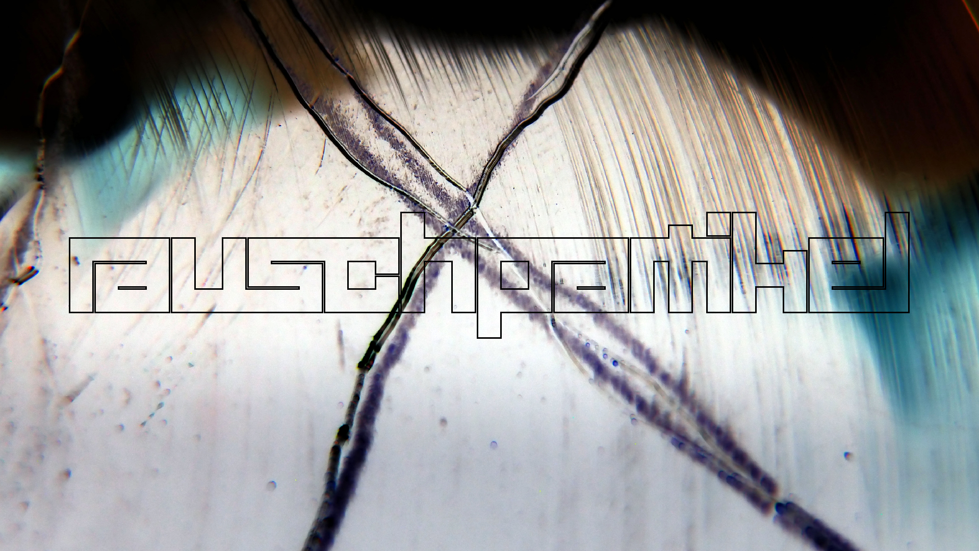 2023-02-03 wendelrekords 4, 2. Entwurf Etiketten (Foto Grafik)