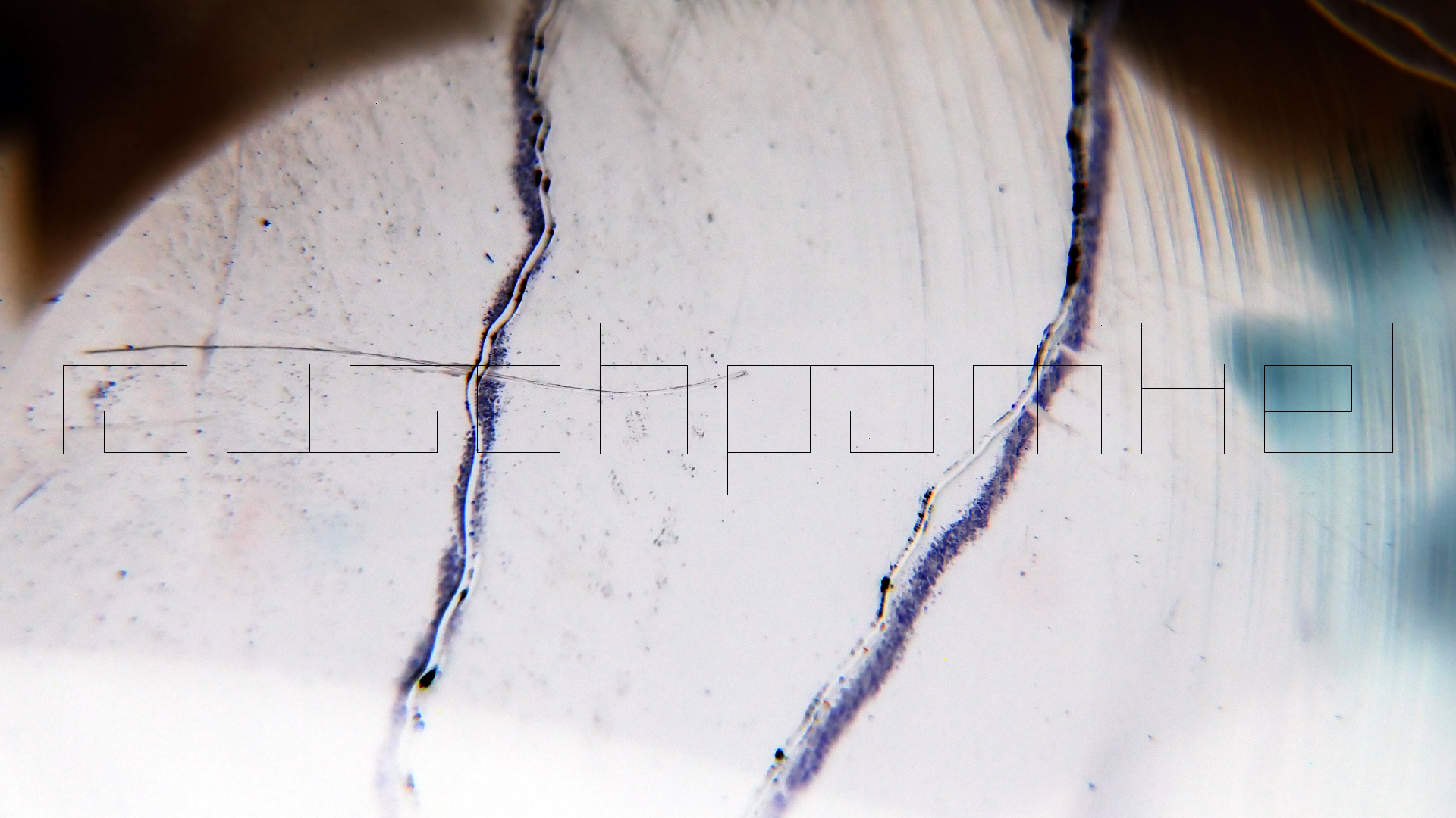 2023-02-03 wendelrekords 4, 2. Entwurf Etiketten (Foto Grafik)