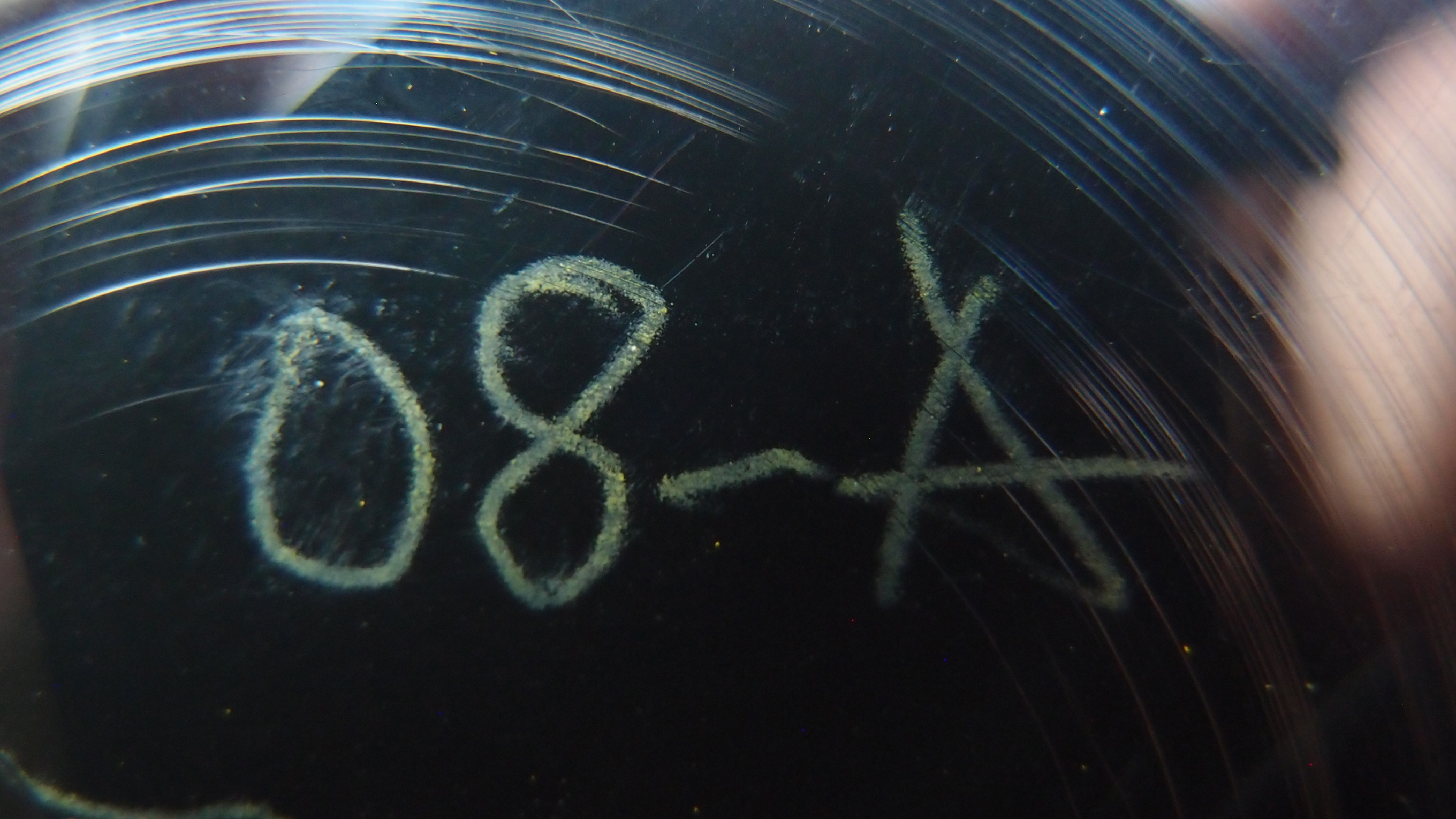 2023-02-03 wendelrekords 4, 2. Entwurf Etiketten (Foto Grafik)