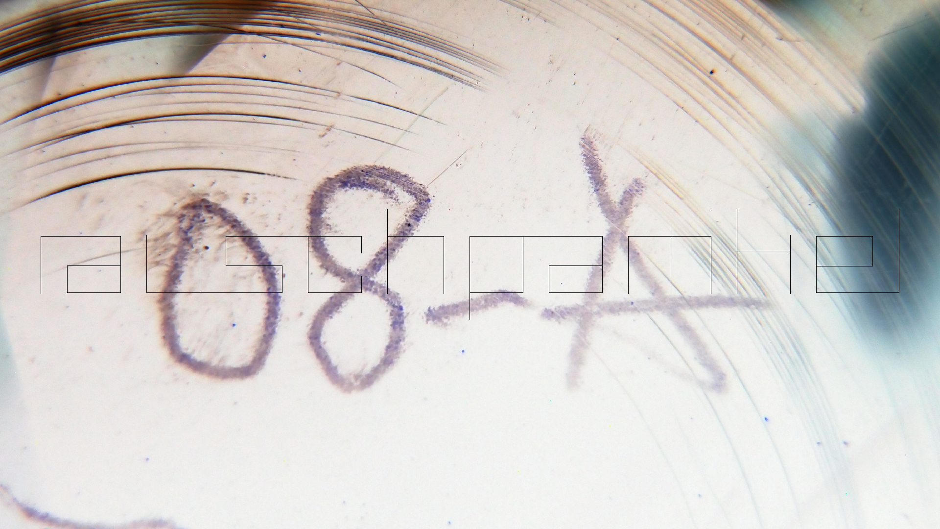 2023-02-03 wendelrekords 4, 2. Entwurf Etiketten (Foto Grafik)