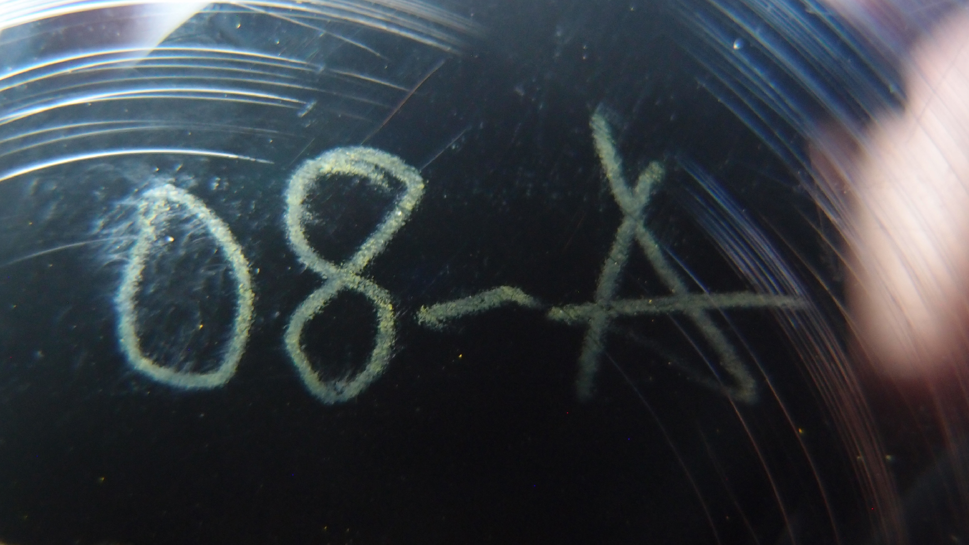 2023-02-03 wendelrekords 4, 2. Entwurf Etiketten (Foto Grafik)