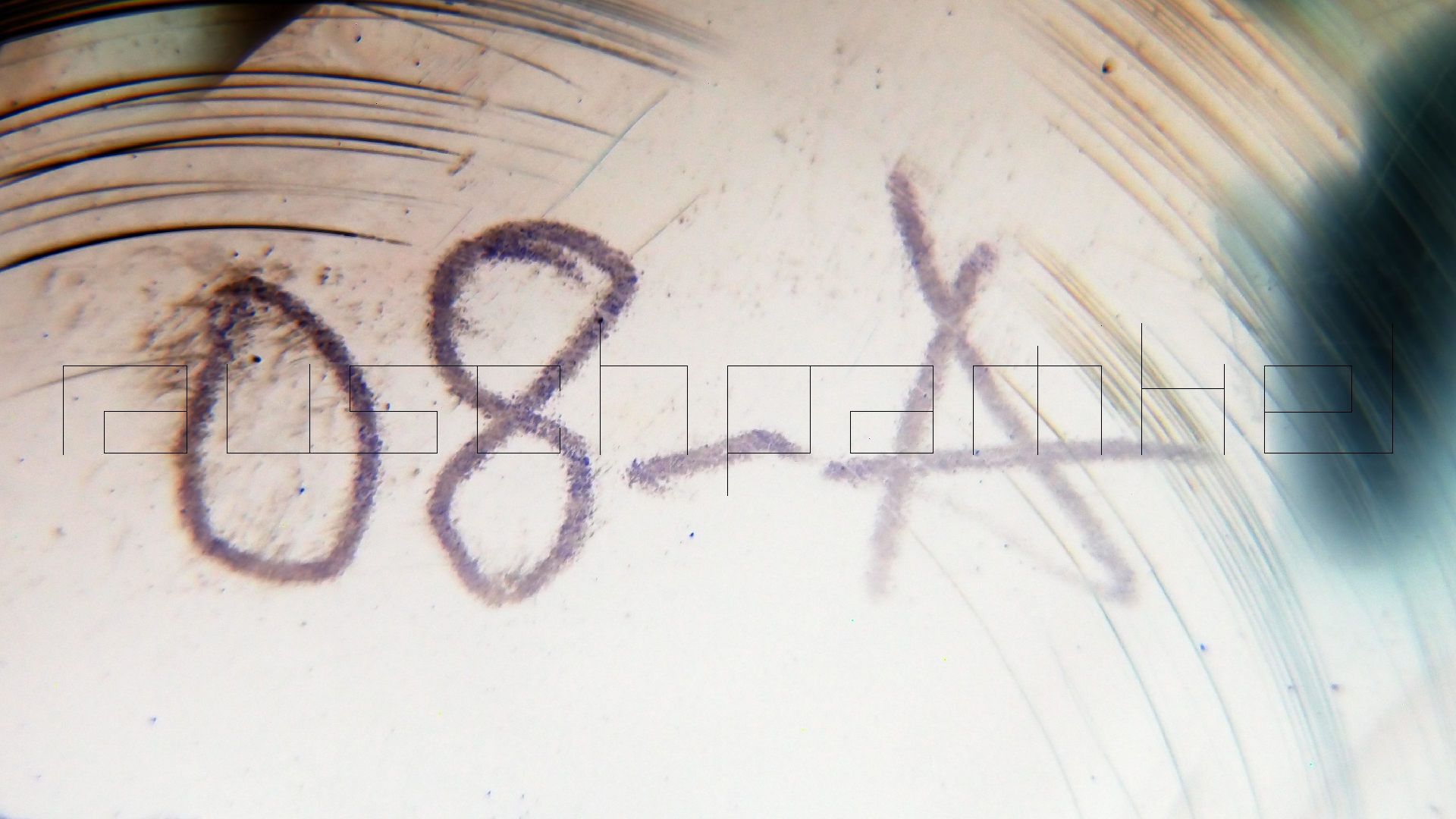 2023-02-03 wendelrekords 4, 2. Entwurf Etiketten (Foto Grafik)