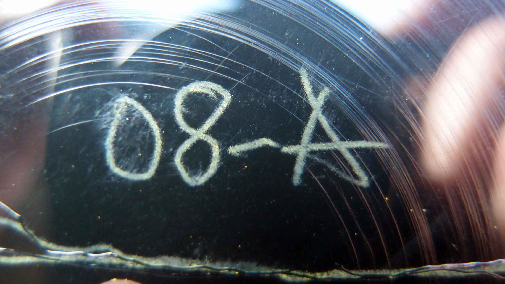 2023-02-03 wendelrekords 4, 2. Entwurf Etiketten (Foto Grafik)