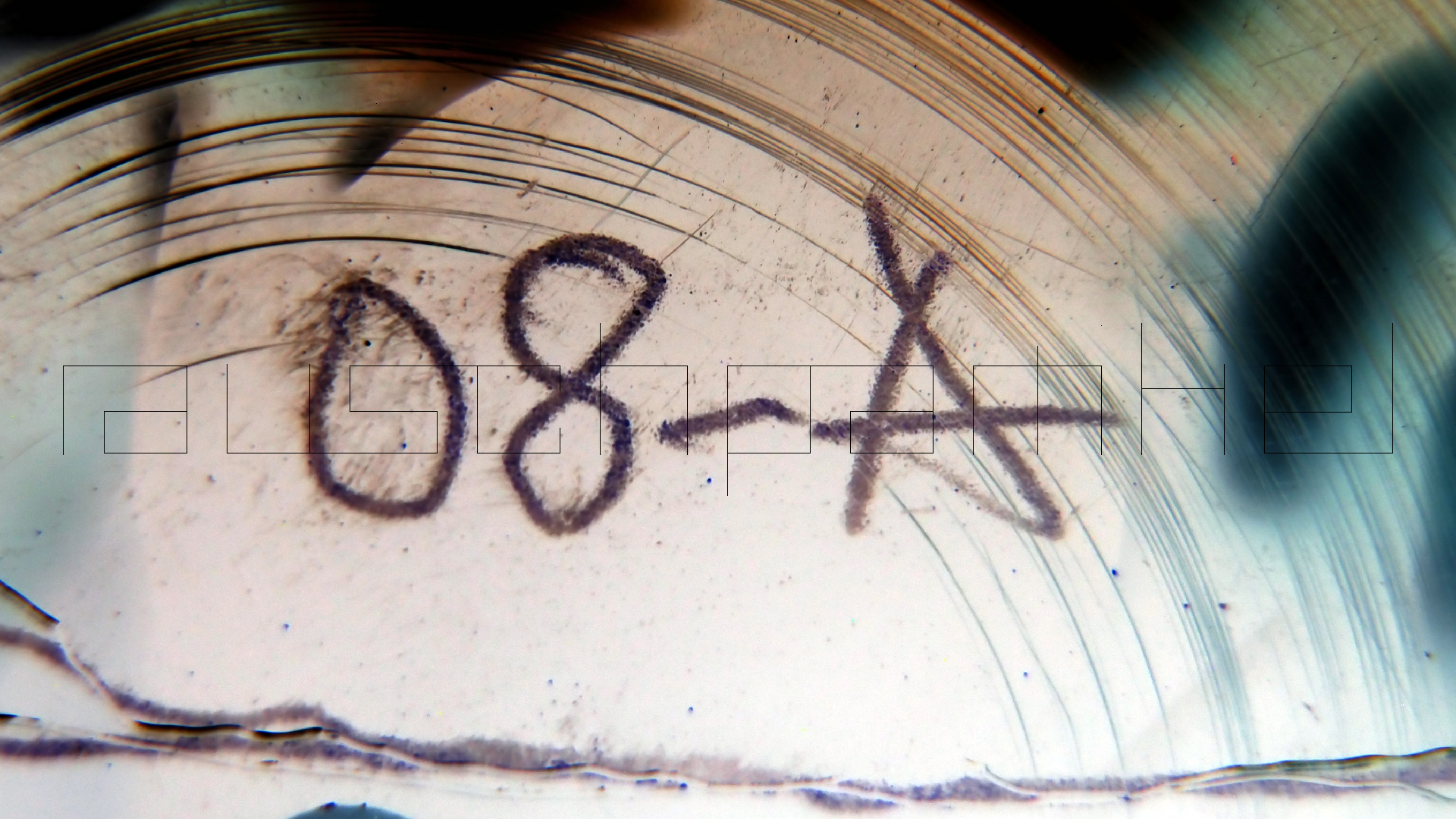 2023-02-03 wendelrekords 4, 2. Entwurf Etiketten (Foto Grafik)