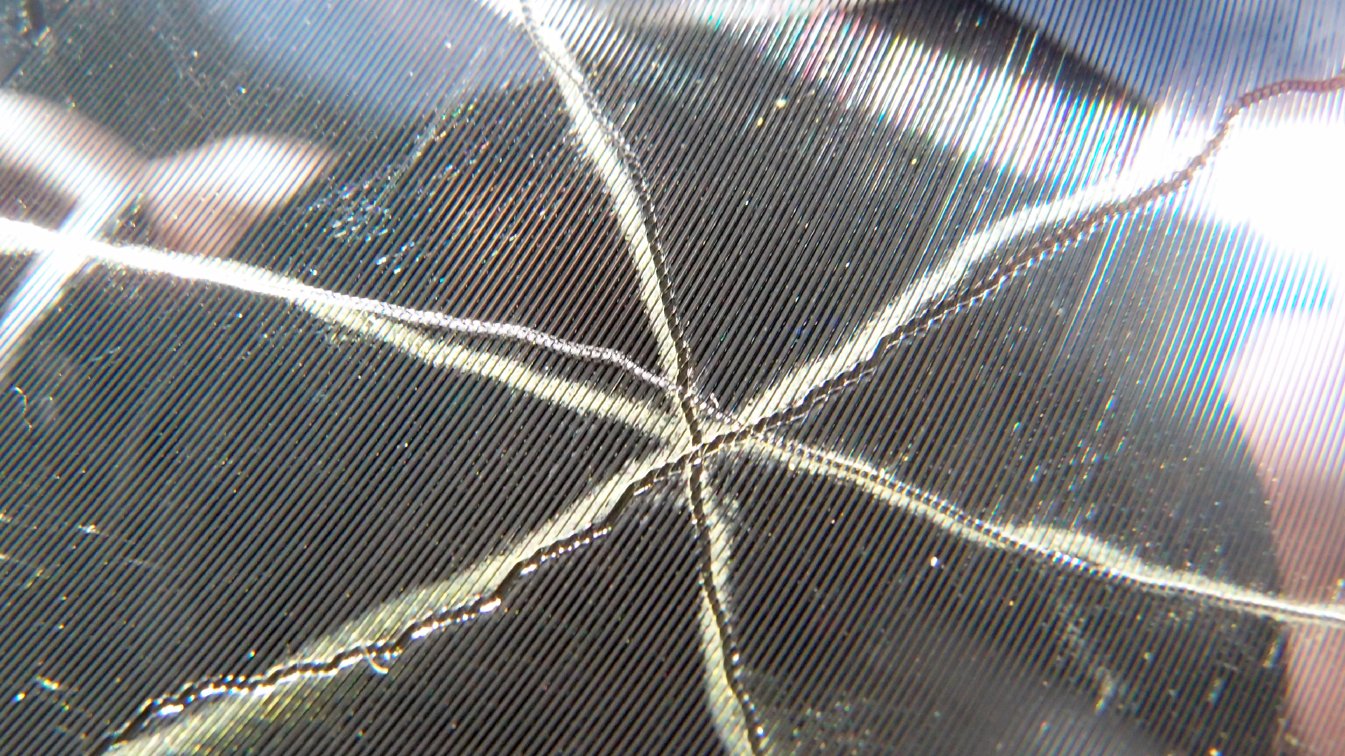 2023-02-03 wendelrekords 4, 2. Entwurf Etiketten (Foto Grafik)