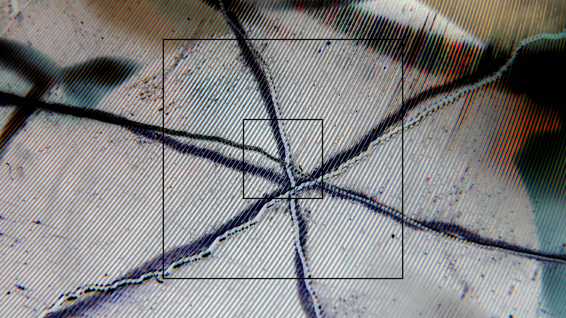 2023-02-03 wendelrekords 4, 2. Entwurf Etiketten (Foto Grafik)