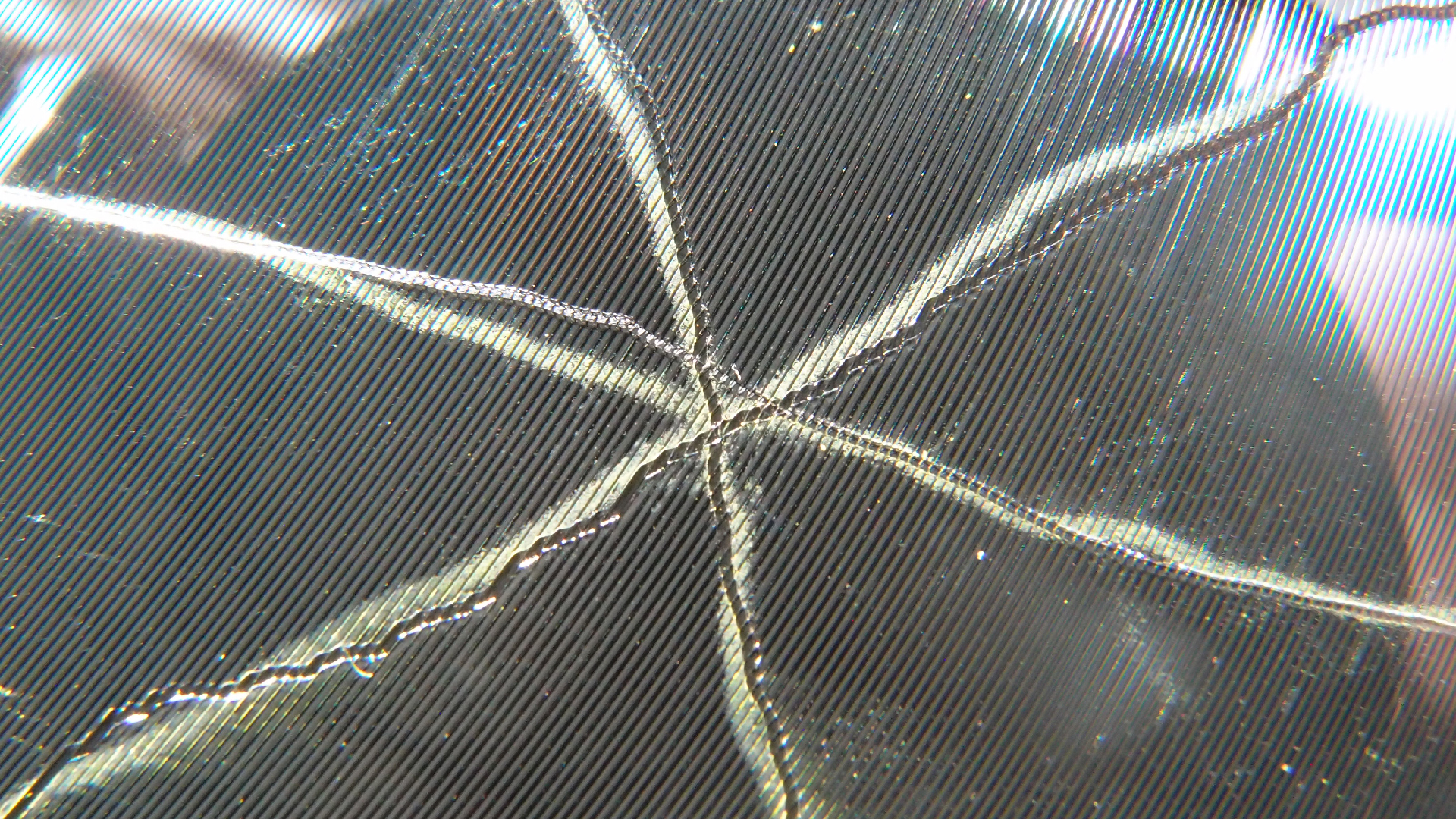 2023-02-03 wendelrekords 4, 2. Entwurf Etiketten (Foto Grafik)