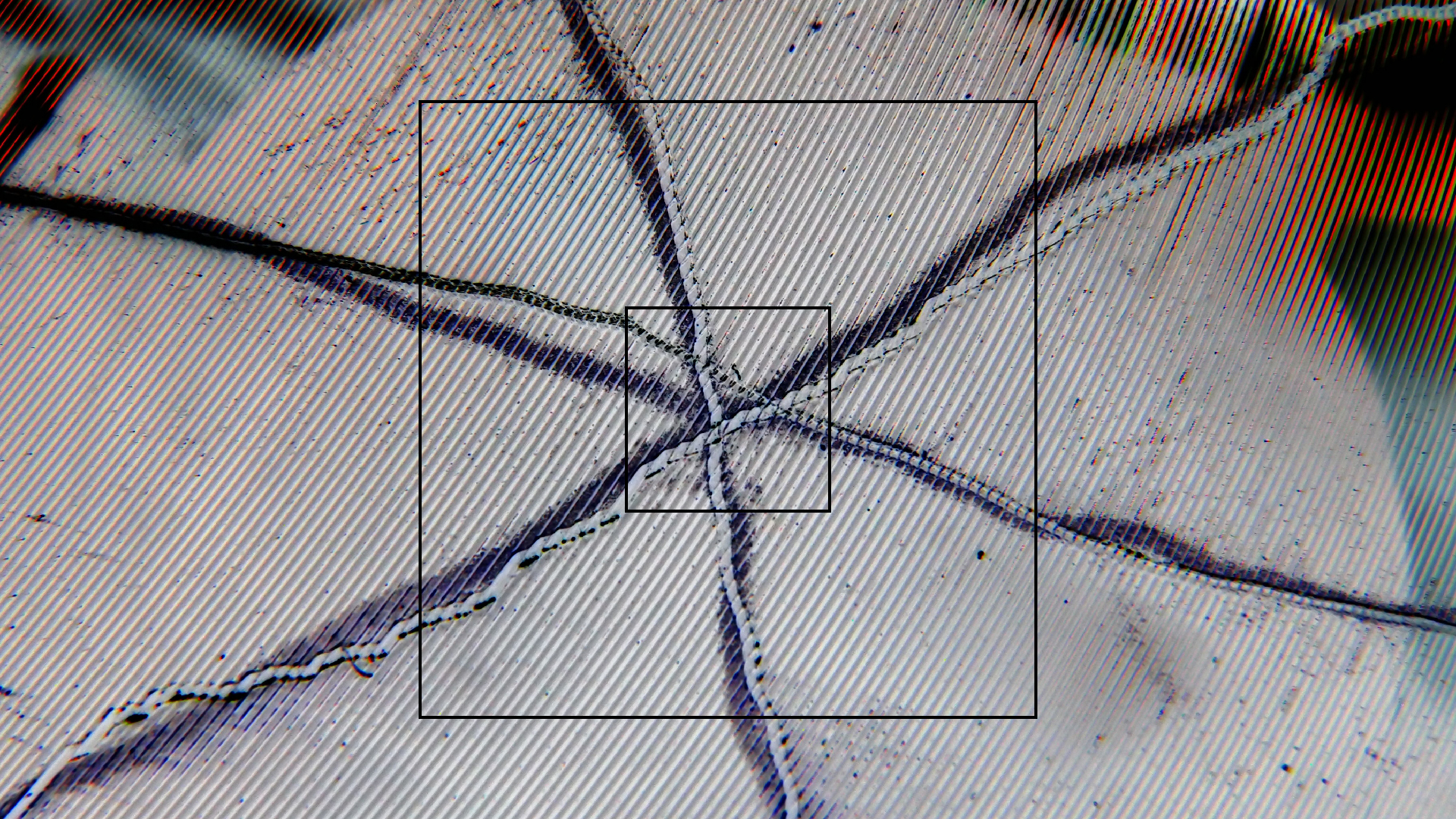 2023-02-03 wendelrekords 4, 2. Entwurf Etiketten (Foto Grafik)