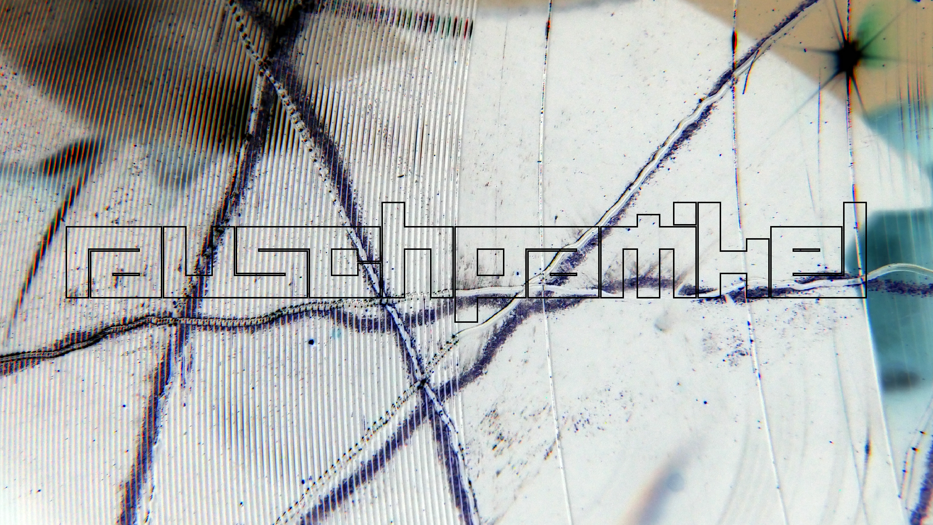 2023-02-03 wendelrekords 4, 2. Entwurf Etiketten (Foto Grafik)