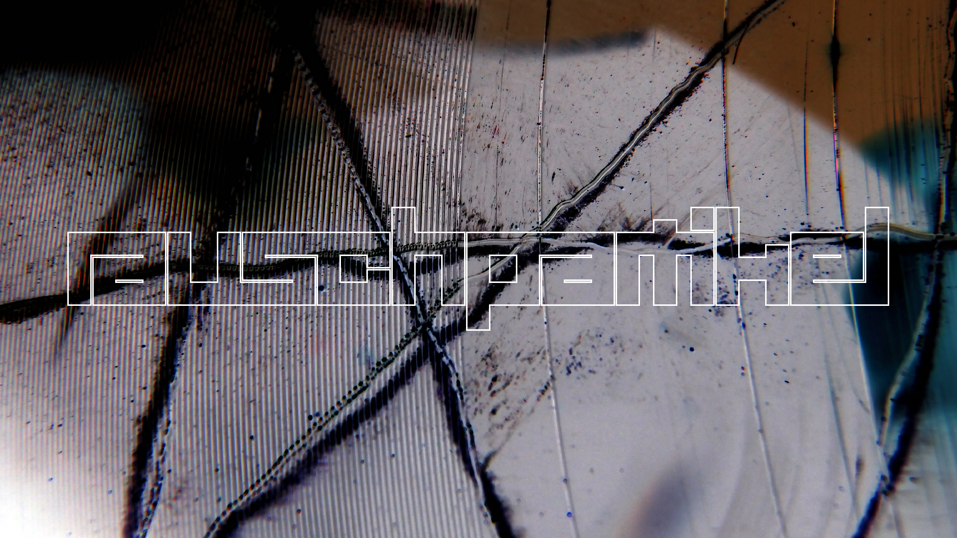 2023-02-03 wendelrekords 4, 2. Entwurf Etiketten (Foto Grafik)