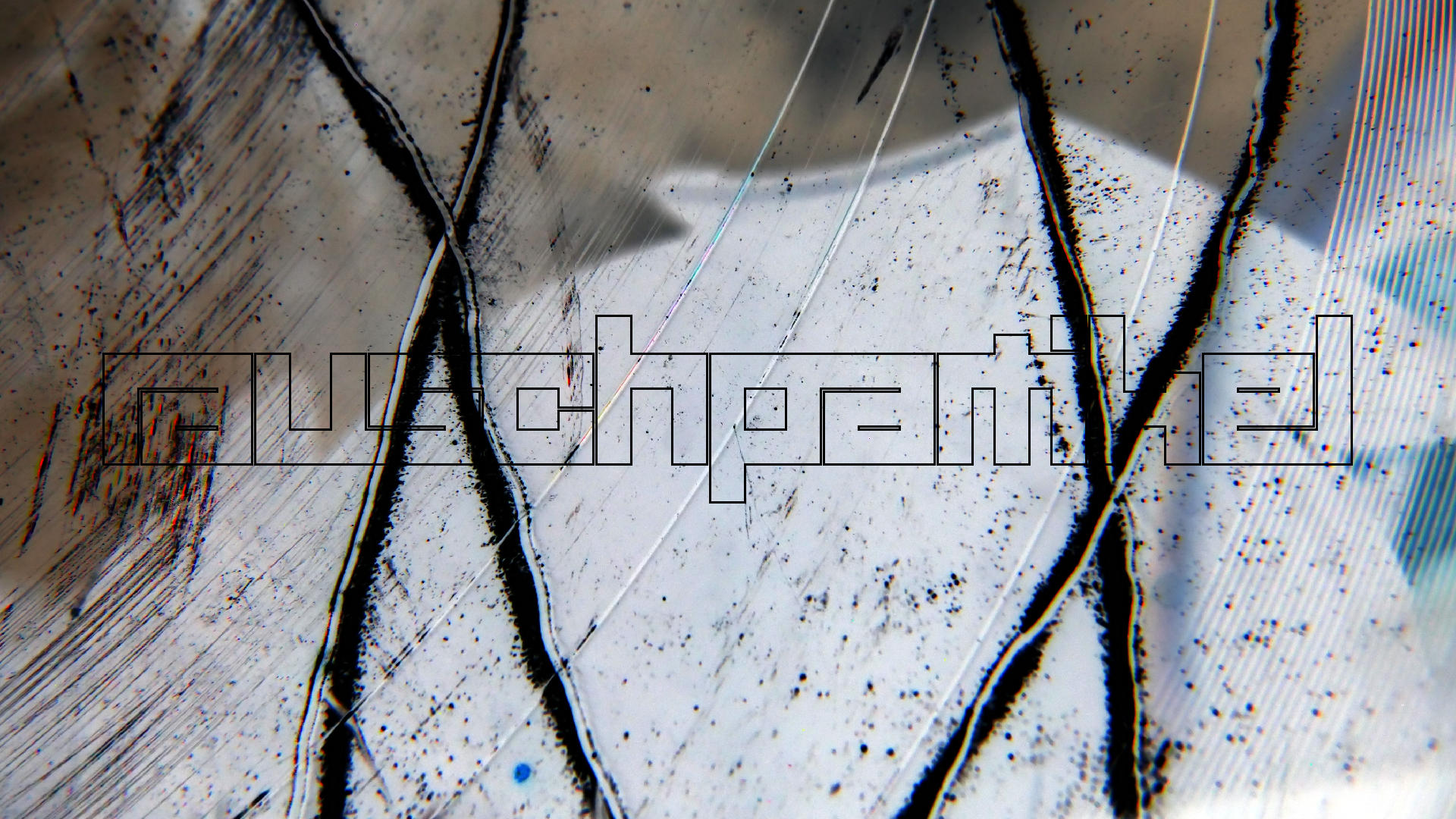 2023-02-03 wendelrekords 4, 2. Entwurf Etiketten (Foto Grafik)