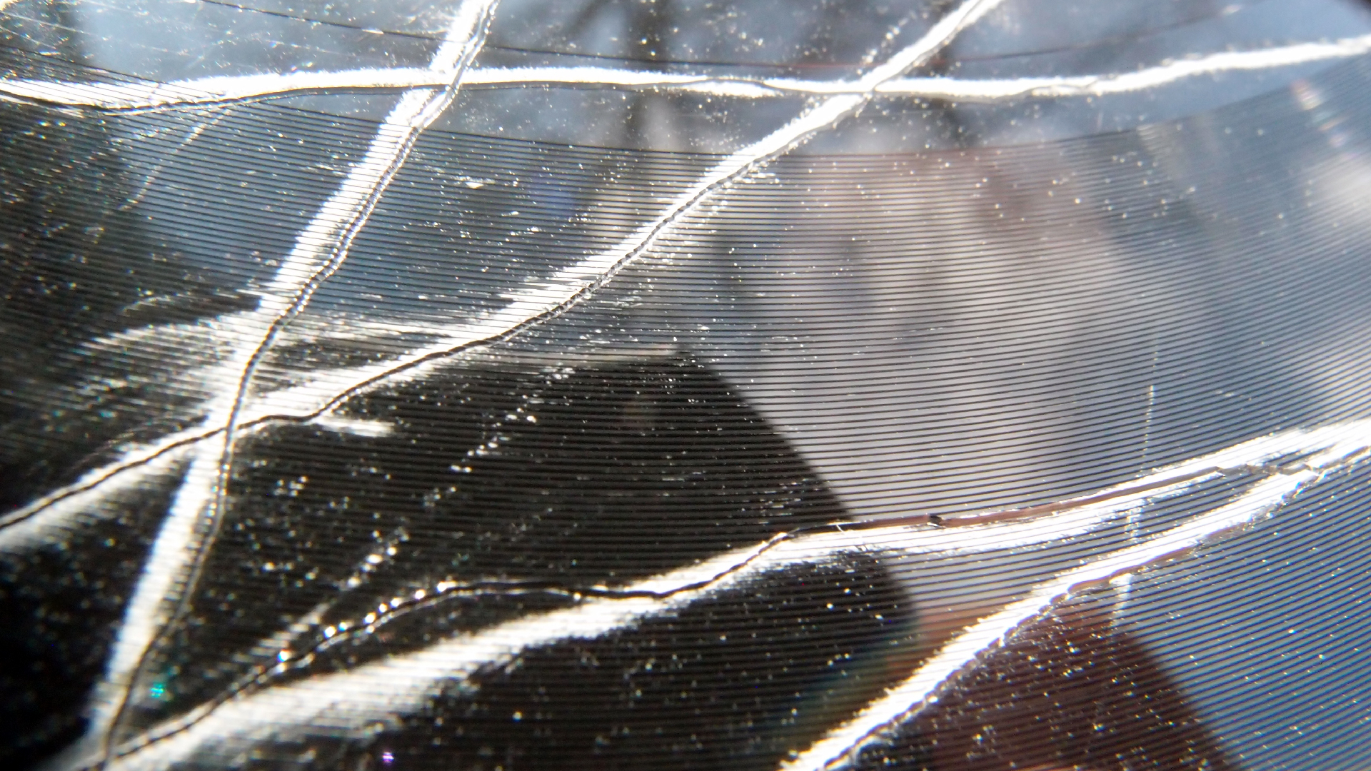 2023-02-03 wendelrekords 4, 2. Entwurf Etiketten (Foto Grafik)