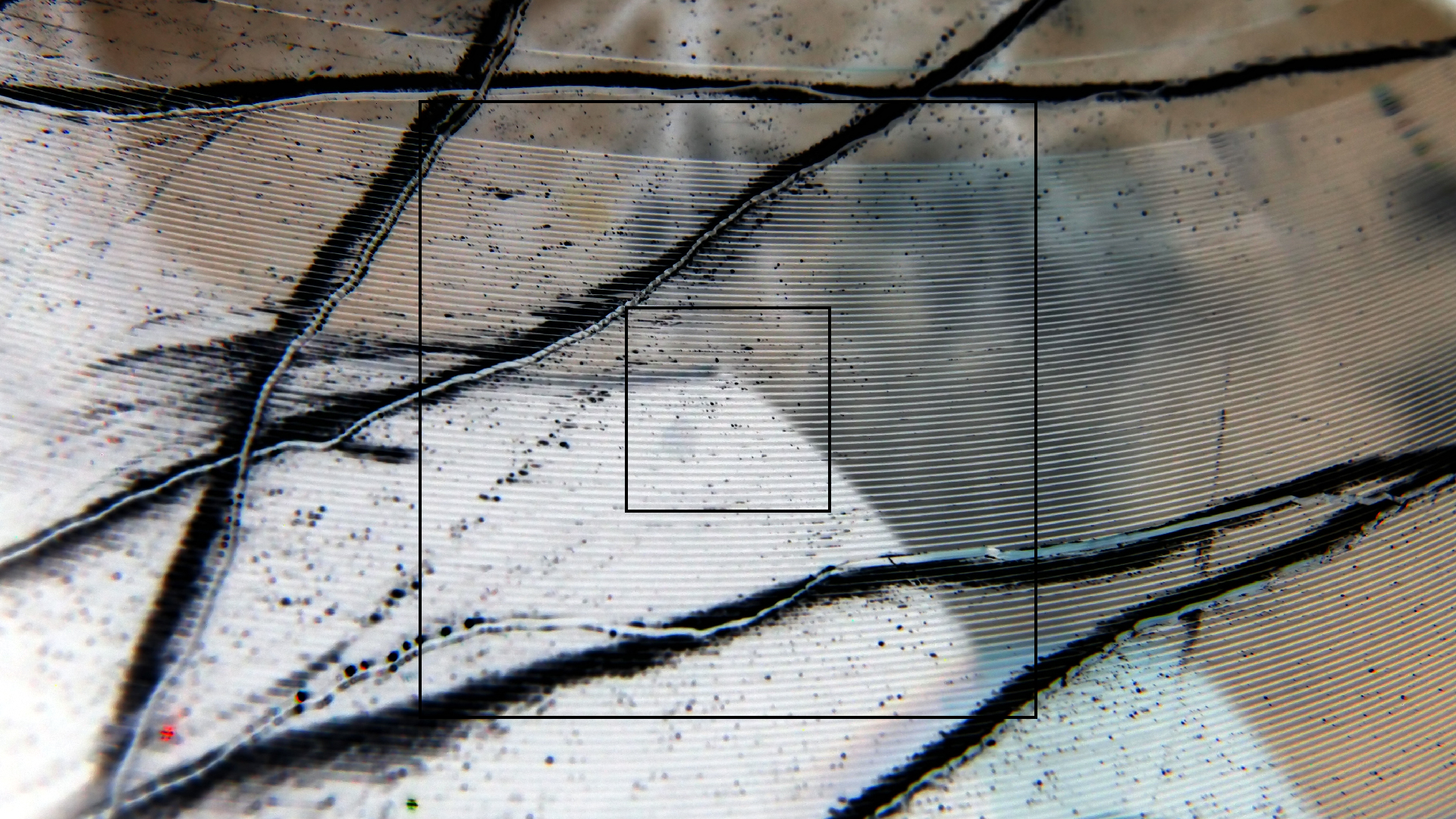 2023-02-03 wendelrekords 4, 2. Entwurf Etiketten (Foto Grafik)