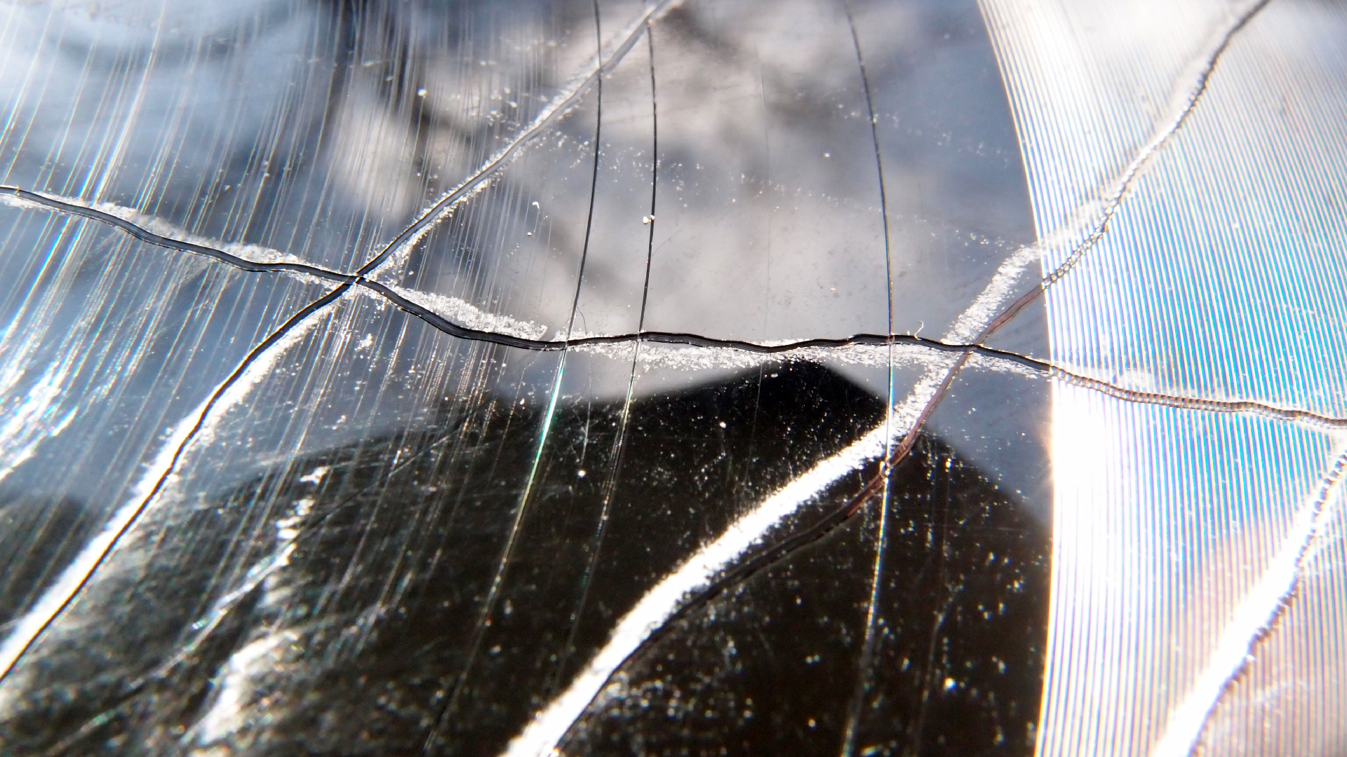 2023-02-03 wendelrekords 4, 2. Entwurf Etiketten (Foto Grafik)