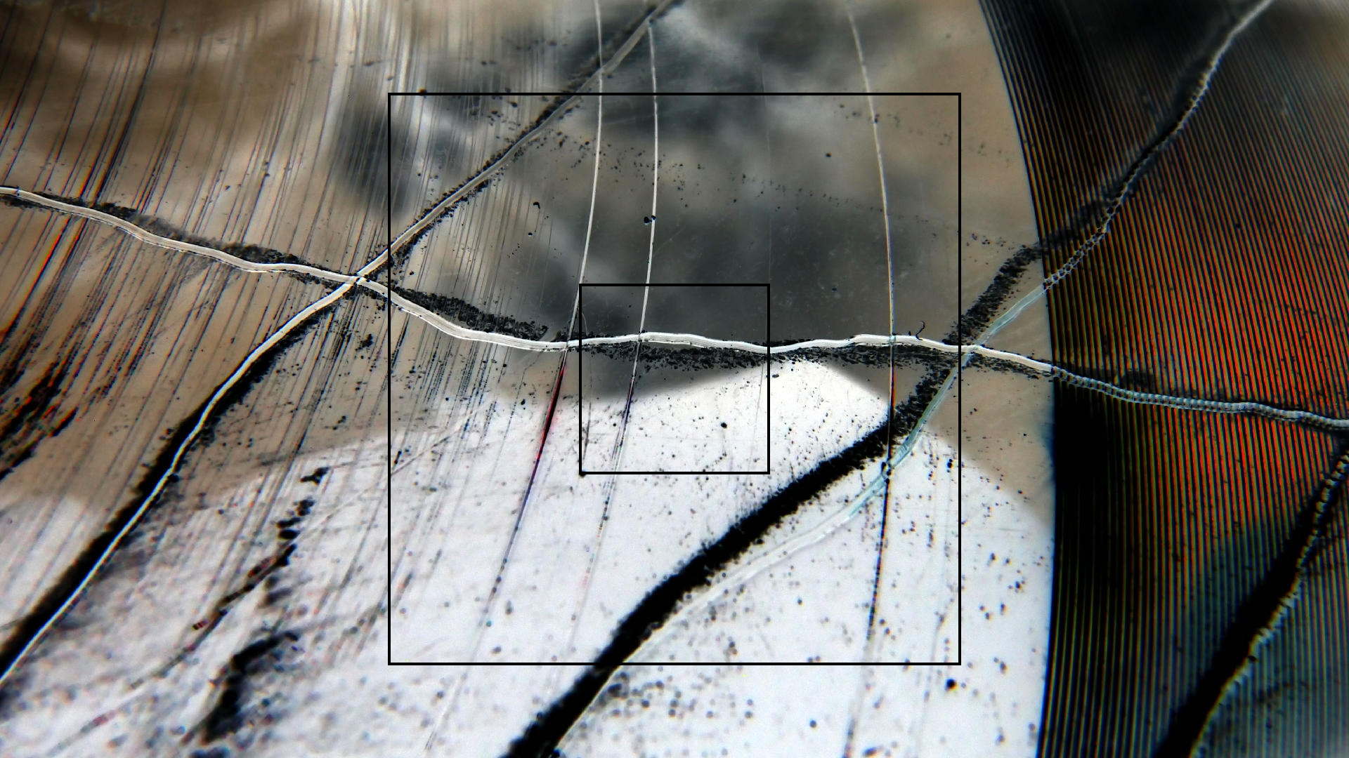 2023-02-03 wendelrekords 4, 2. Entwurf Etiketten (Foto Grafik)