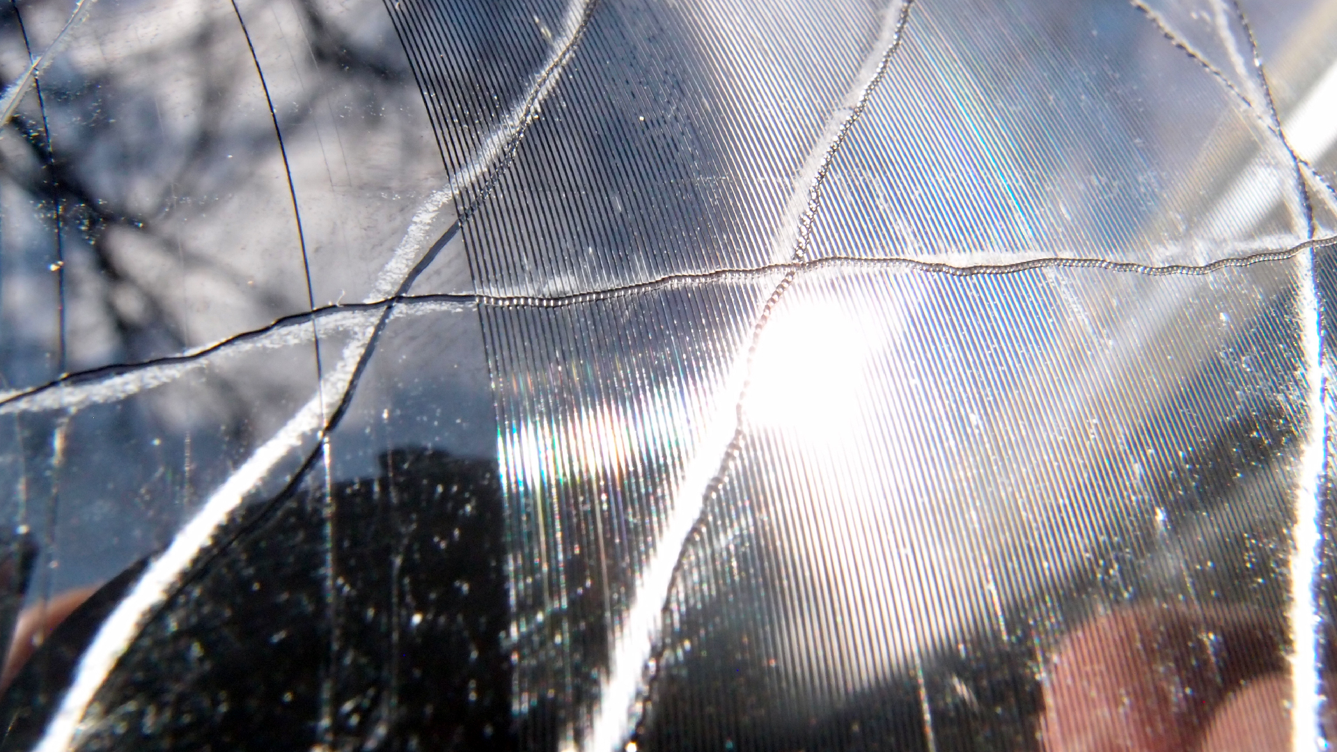 2023-02-03 wendelrekords 4, 2. Entwurf Etiketten (Foto Grafik)