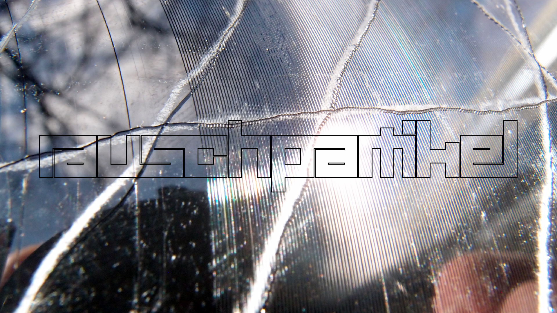 2023-02-03 wendelrekords 4, 2. Entwurf Etiketten (Foto Grafik)