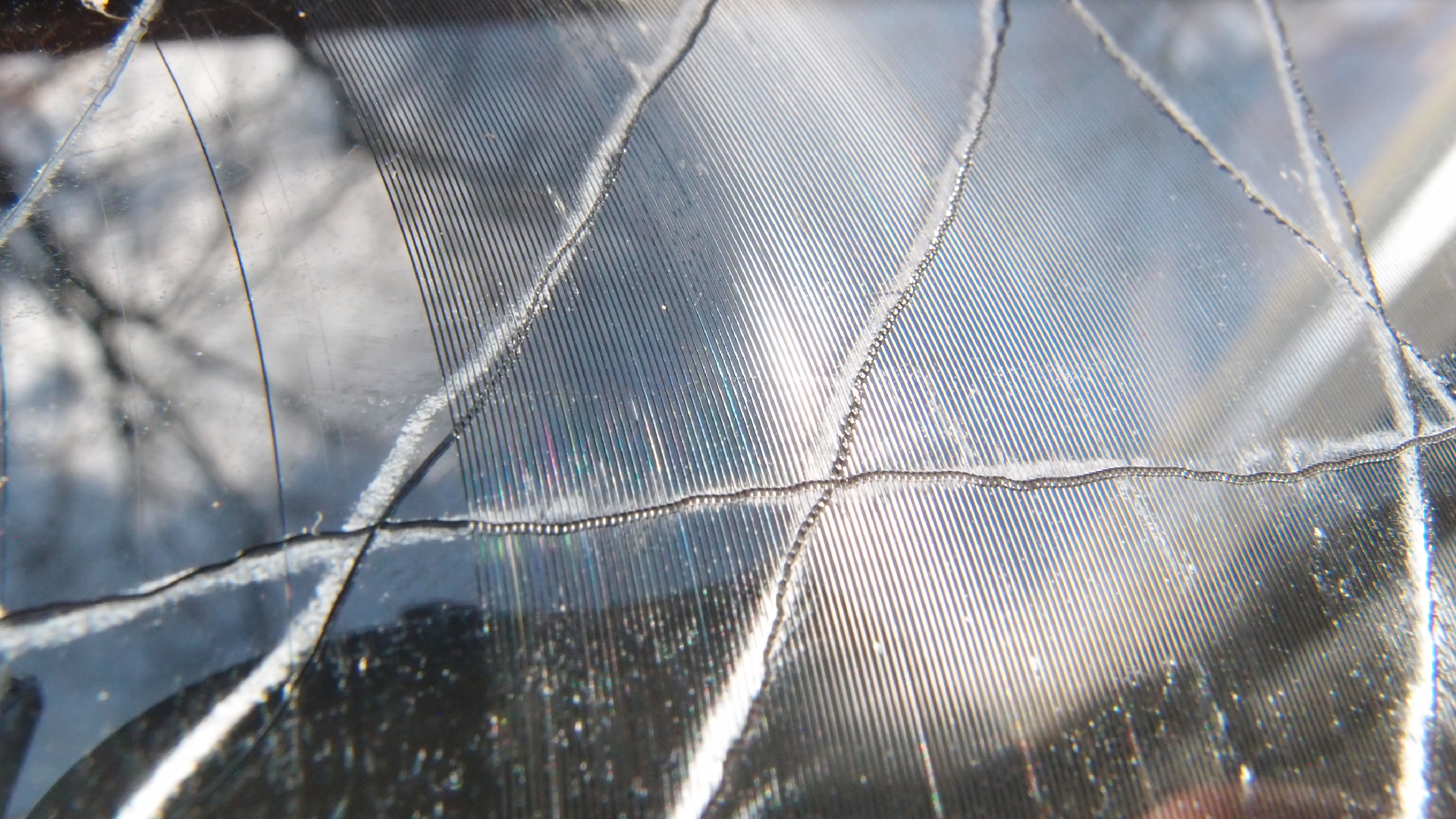 2023-02-03 wendelrekords 4, 2. Entwurf Etiketten (Foto Grafik)