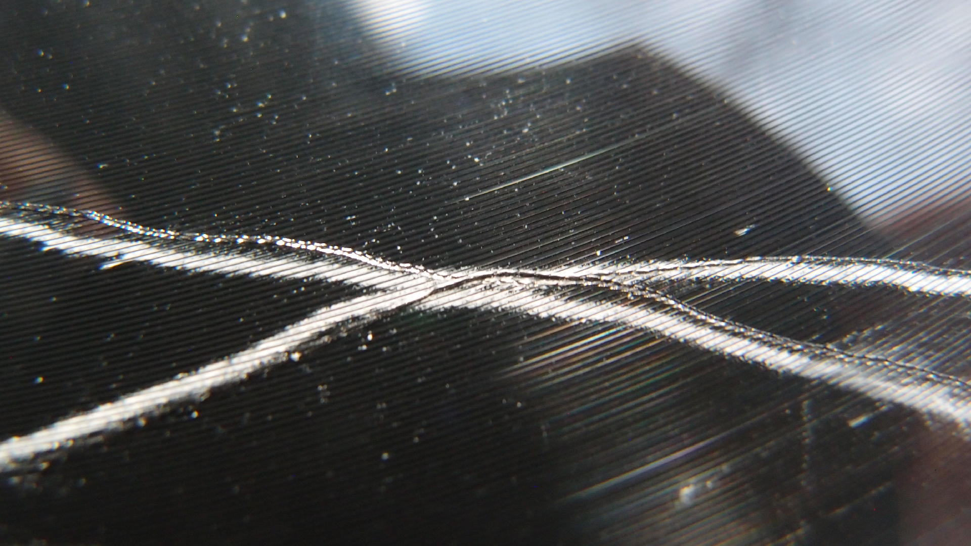 2023-02-03 wendelrekords 4, 2. Entwurf Etiketten (Foto Grafik)