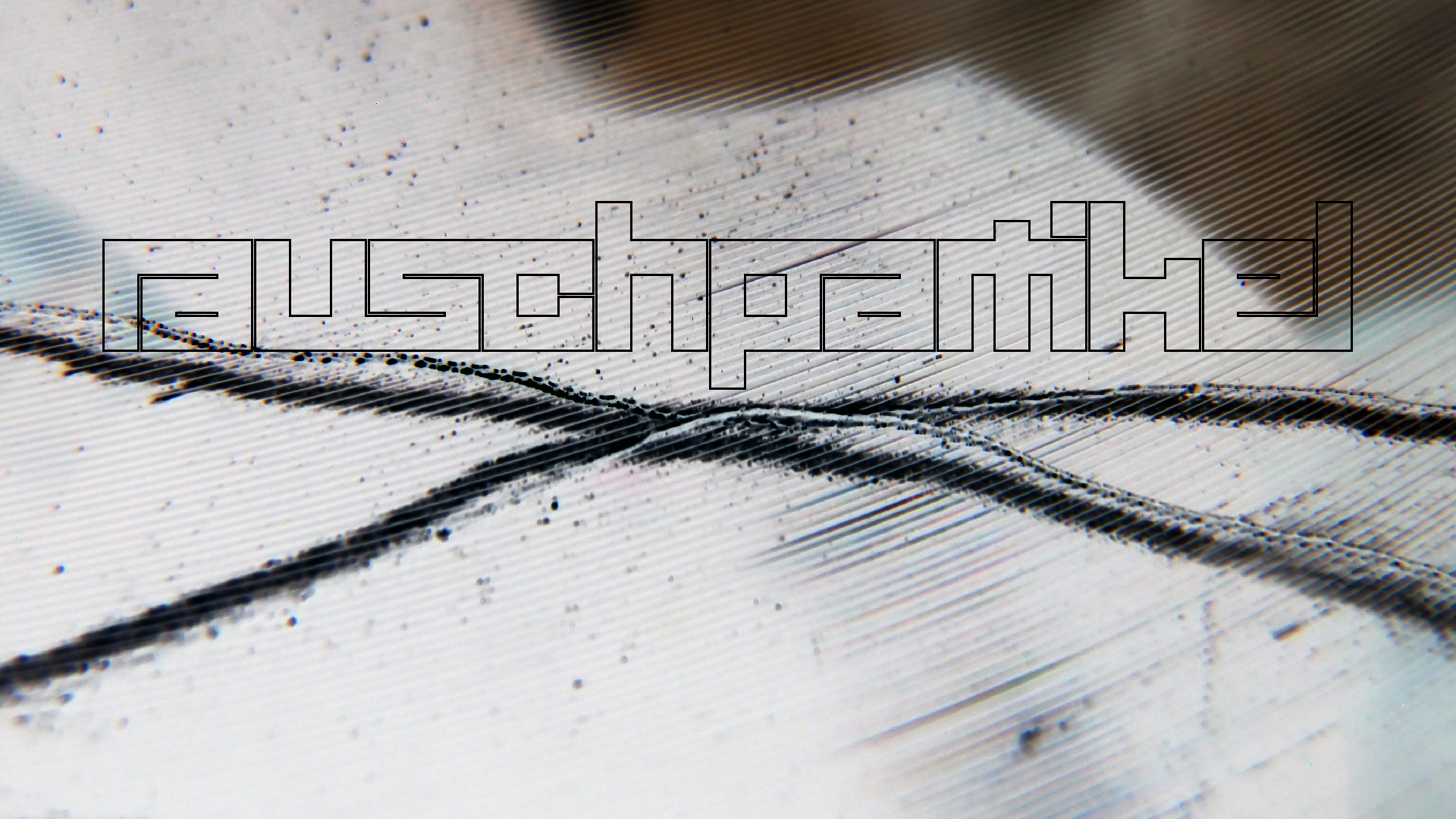 2023-02-03 wendelrekords 4, 2. Entwurf Etiketten (Foto Grafik)