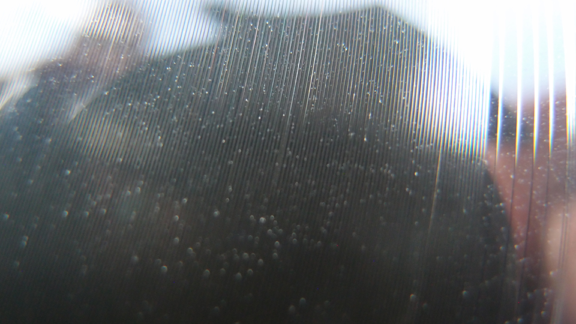 2023-02-03 wendelrekords 4, 2. Entwurf Etiketten (Foto Grafik)