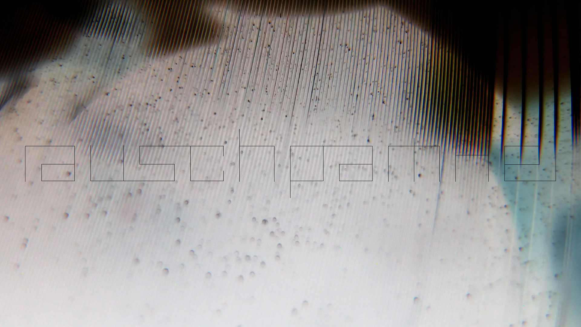 2023-02-03 wendelrekords 4, 2. Entwurf Etiketten (Foto Grafik)