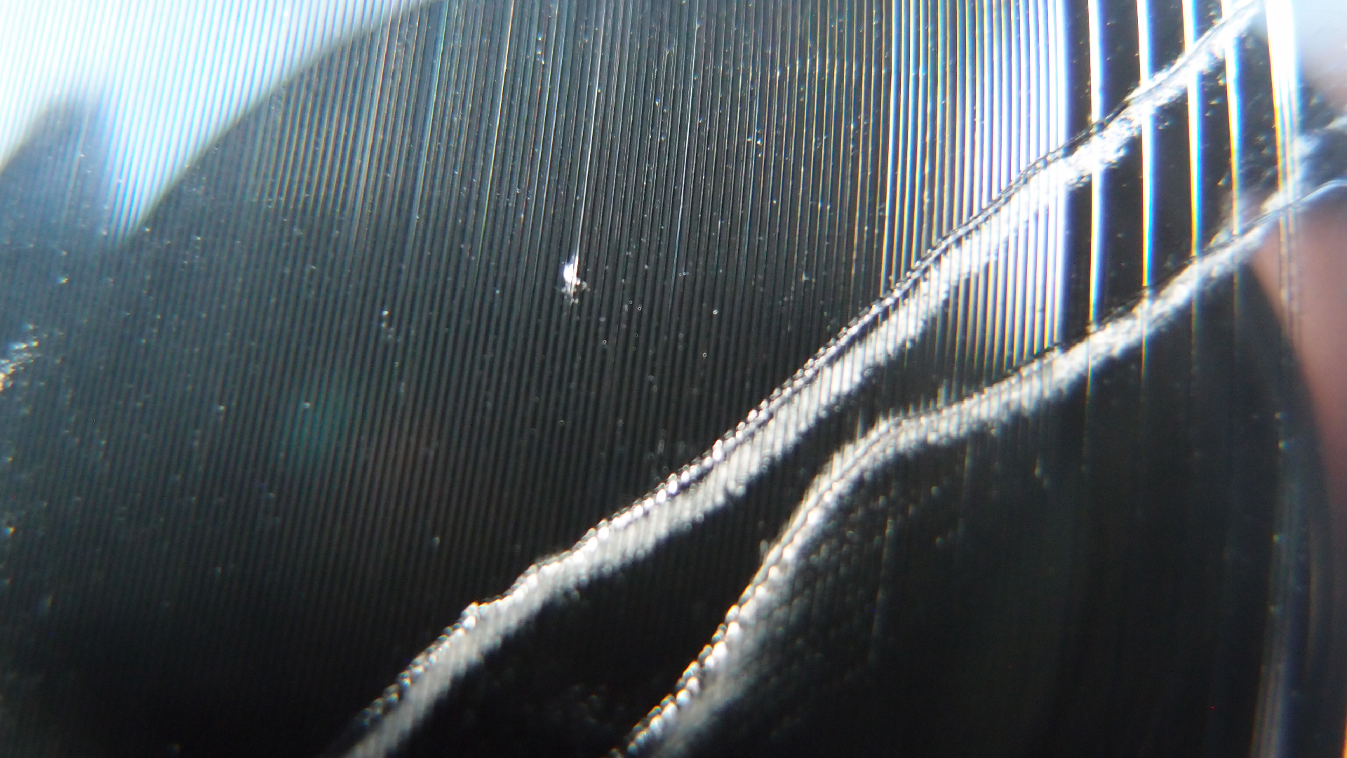 2023-02-03 wendelrekords 4, 2. Entwurf Etiketten (Foto Grafik)