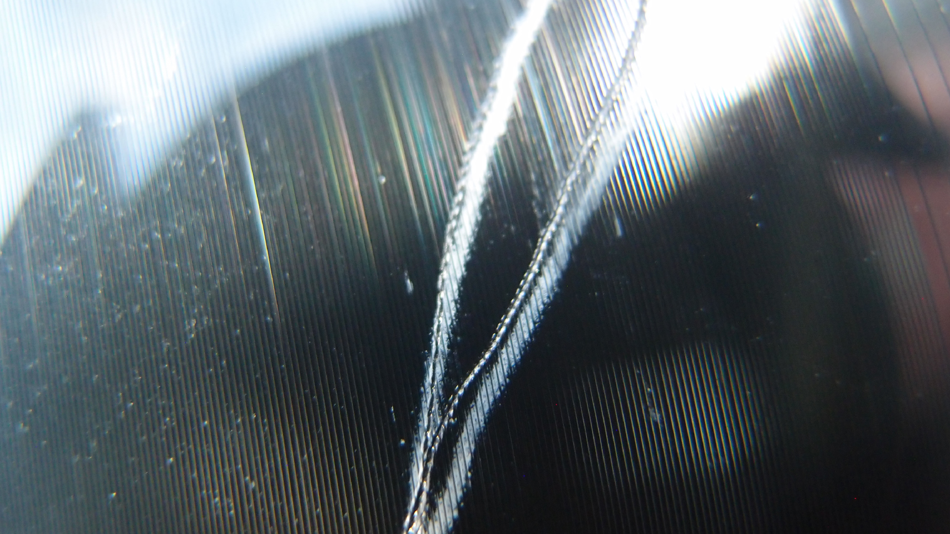 2023-02-03 wendelrekords 4, 2. Entwurf Etiketten (Foto Grafik)