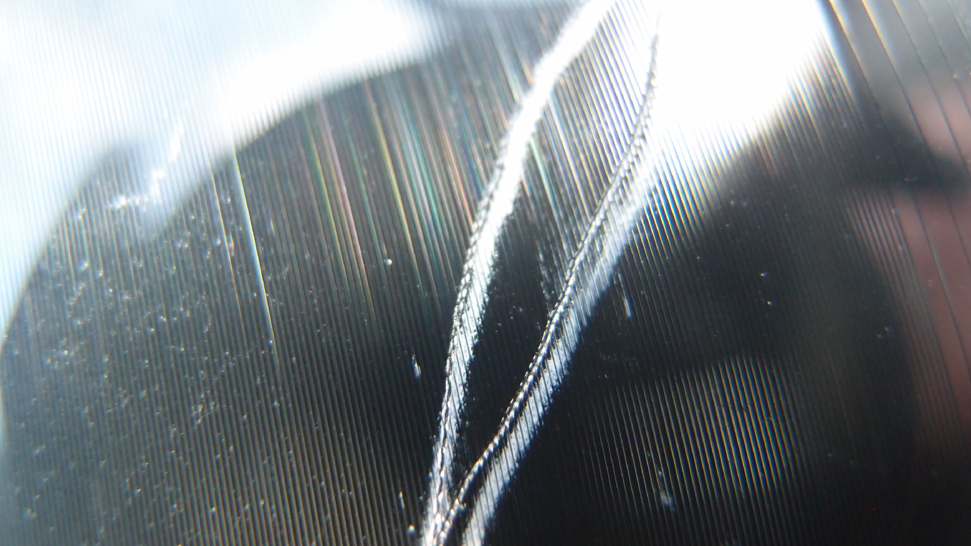 2023-02-03 wendelrekords 4, 2. Entwurf Etiketten (Foto Grafik)