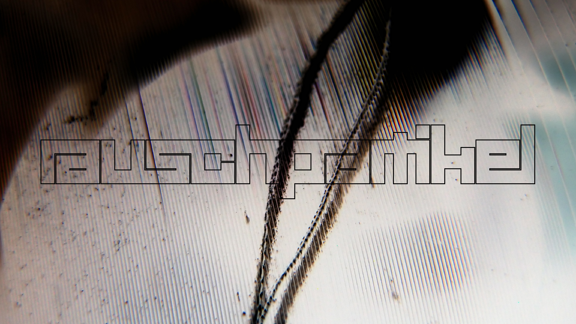 2023-02-03 wendelrekords 4, 2. Entwurf Etiketten (Foto Grafik)