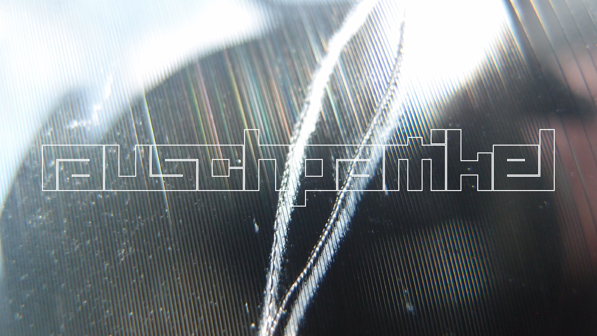 2023-02-03 wendelrekords 4, 2. Entwurf Etiketten (Foto Grafik)