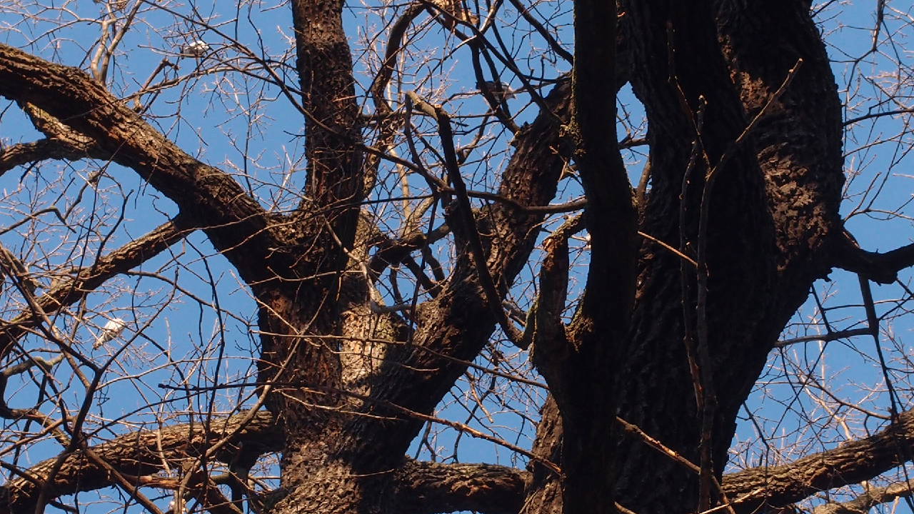 2020-12-26 Kühlgeträt (On/Off) (Remix John Cage - Empty Words IV)