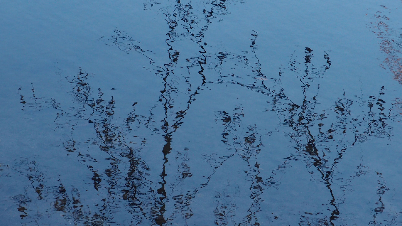 2020-12-26 Kühlgeträt (On/Off) (Remix John Cage - Empty Words IV)