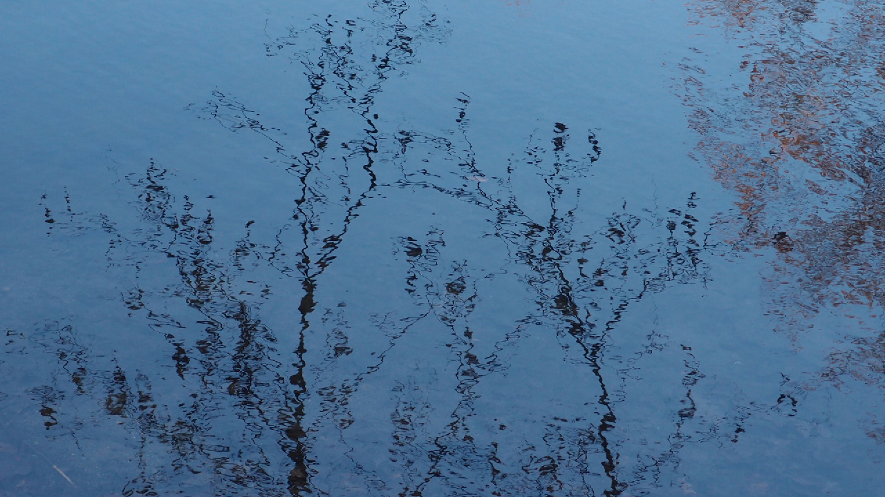 2020-12-26 Kühlgeträt (On/Off) (Remix John Cage - Empty Words IV)