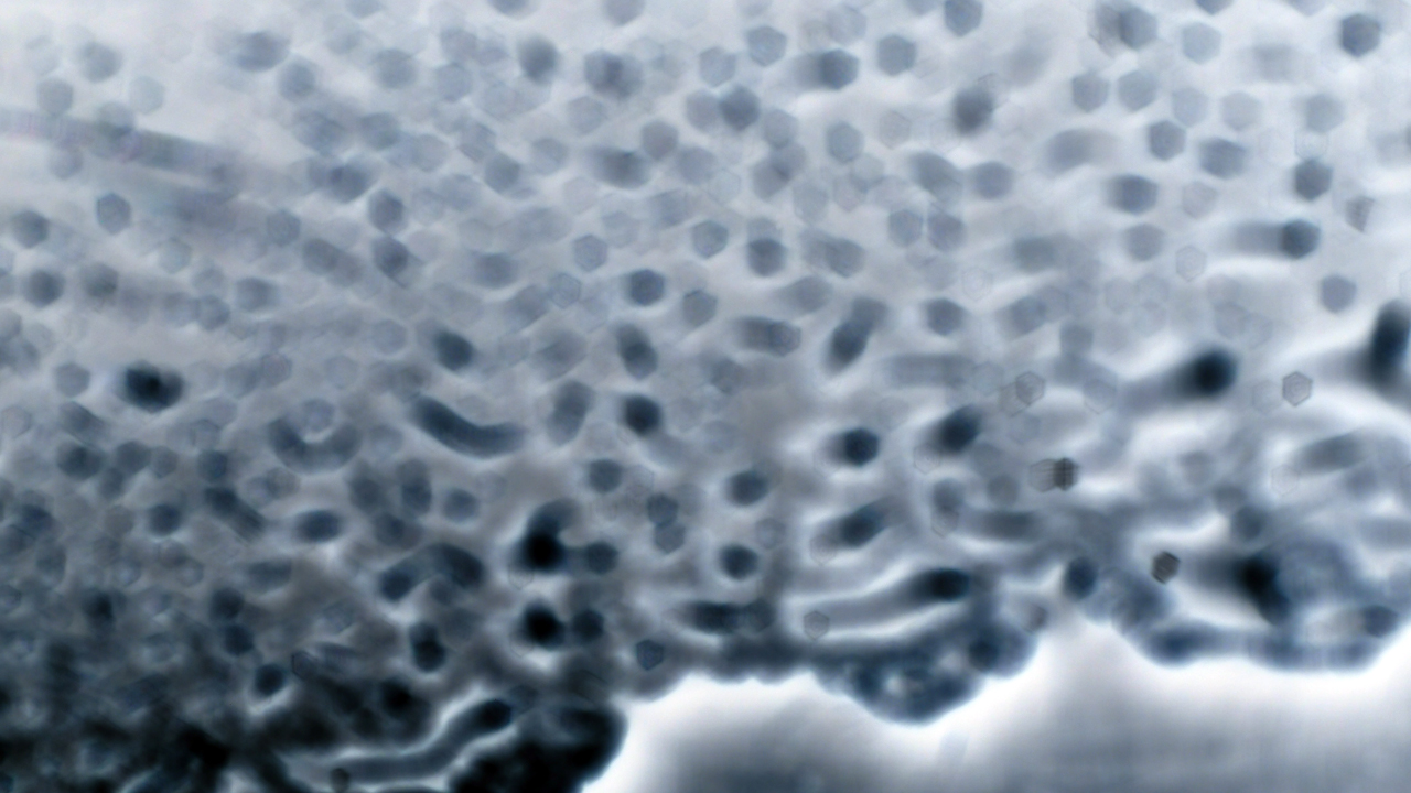 2021-01-30 Wasser in der Sp�le II (Remix Sonatas & Interludes, On-Off) (Komposition, Remix, Recording, Foto)