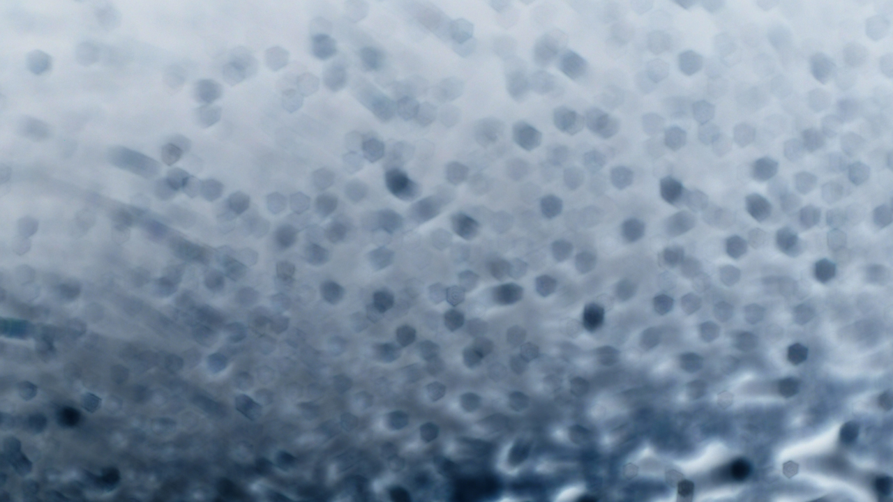 2021-01-30 Wasser in der Sp�le II (Remix Sonatas & Interludes, On-Off) (Komposition, Remix, Recording, Foto)