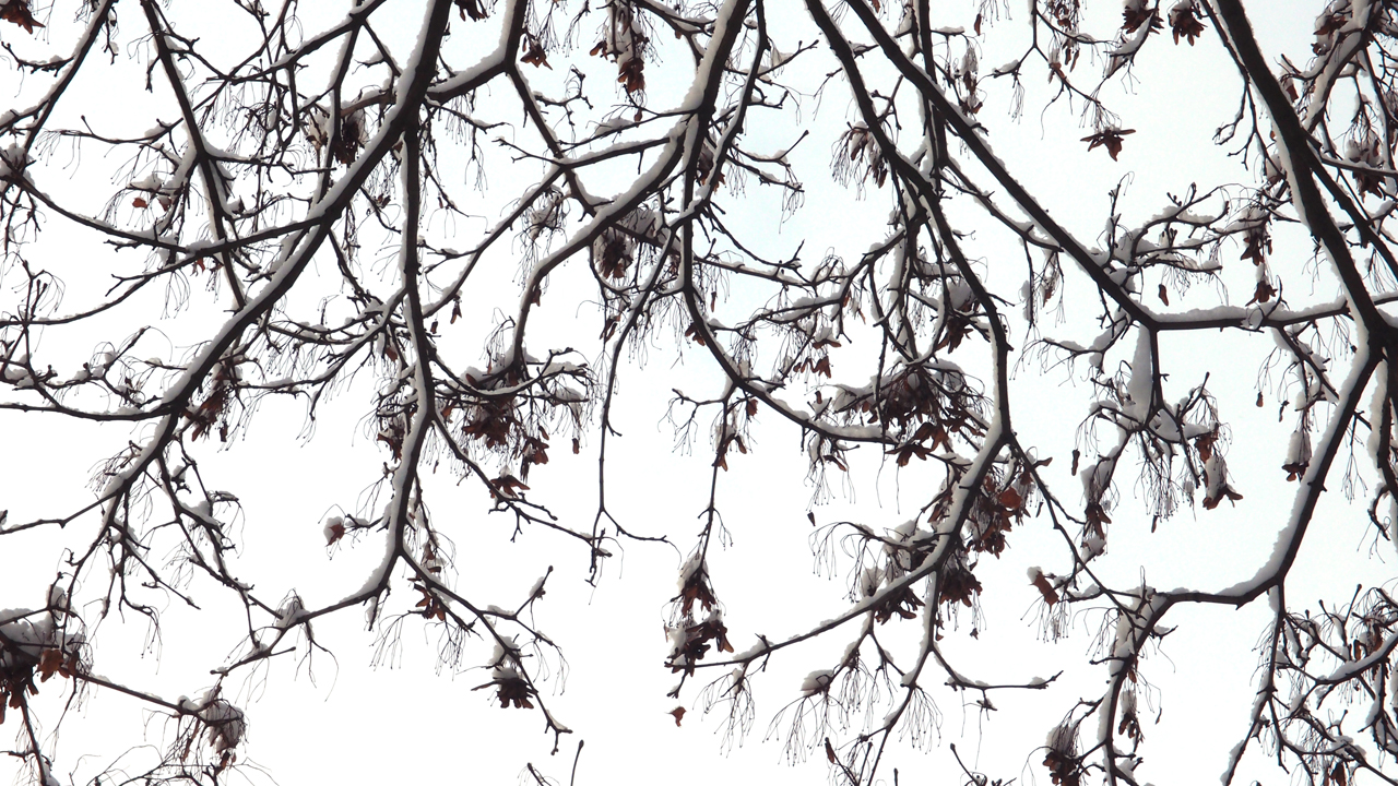 2021-01-30 Wasser in der Sp�le II (Remix Sonatas & Interludes, On-Off) (Komposition, Remix, Recording, Foto)