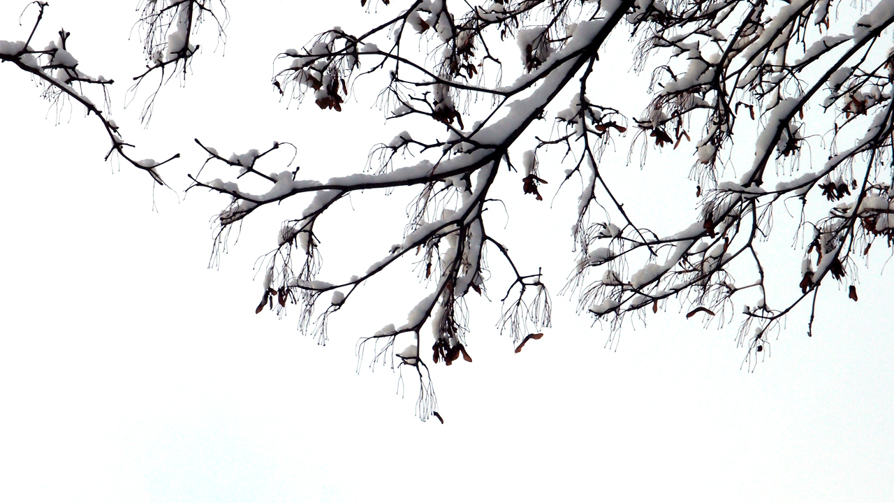 2021-01-30 Wasser in der Sp�le II (Remix Sonatas & Interludes, On-Off) (Komposition, Remix, Recording, Foto)