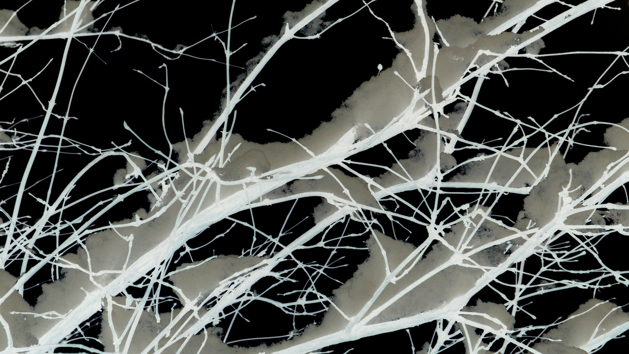 2021-01-30 Wasser in der Sp�le II (Remix Sonatas & Interludes, On-Off) (Komposition, Remix, Recording, Foto)