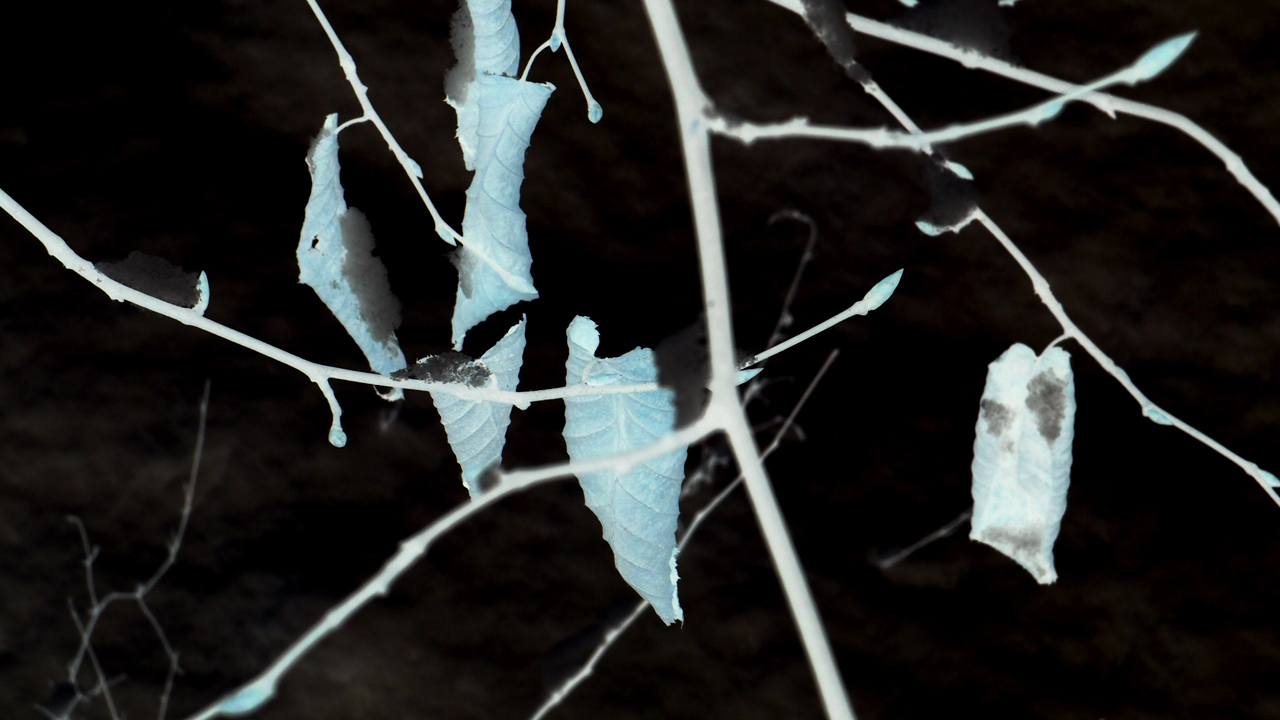 2021-01-30 Wasser in der Sp�le II (Remix Sonatas & Interludes, On-Off) (Komposition, Remix, Recording, Foto)