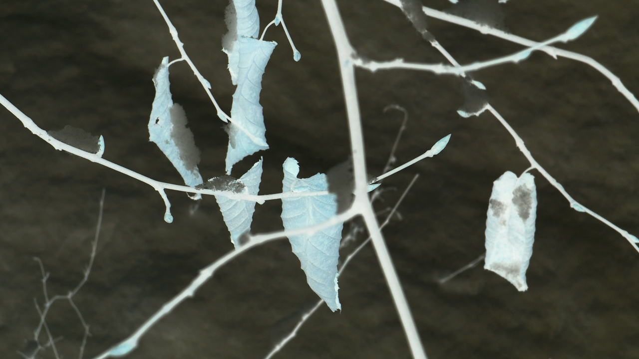 2021-01-30 Wasser in der Sp�le II (Remix Sonatas & Interludes, On-Off) (Komposition, Remix, Recording, Foto)