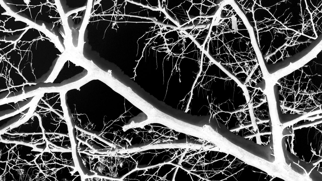 2021-01-30 Wasser in der Sp�le II (Remix Sonatas & Interludes, On-Off) (Komposition, Remix, Recording, Foto)