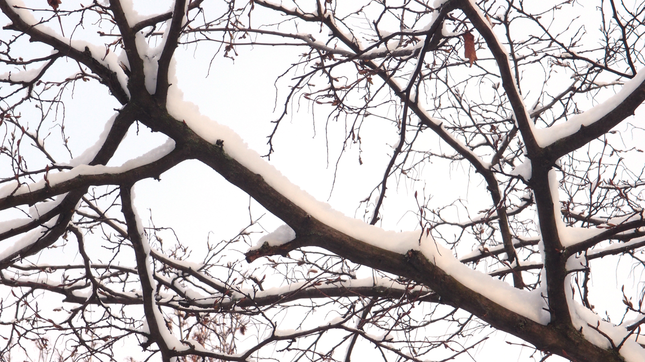 2021-01-30 Wasser in der Sp�le II (Remix Sonatas & Interludes, On-Off) (Komposition, Remix, Recording, Foto)