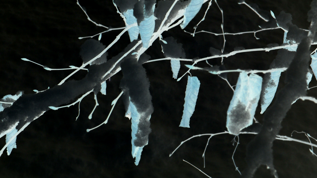 2021-01-30 Wasser in der Sp�le II (Remix Sonatas & Interludes, On-Off) (Komposition, Remix, Recording, Foto)