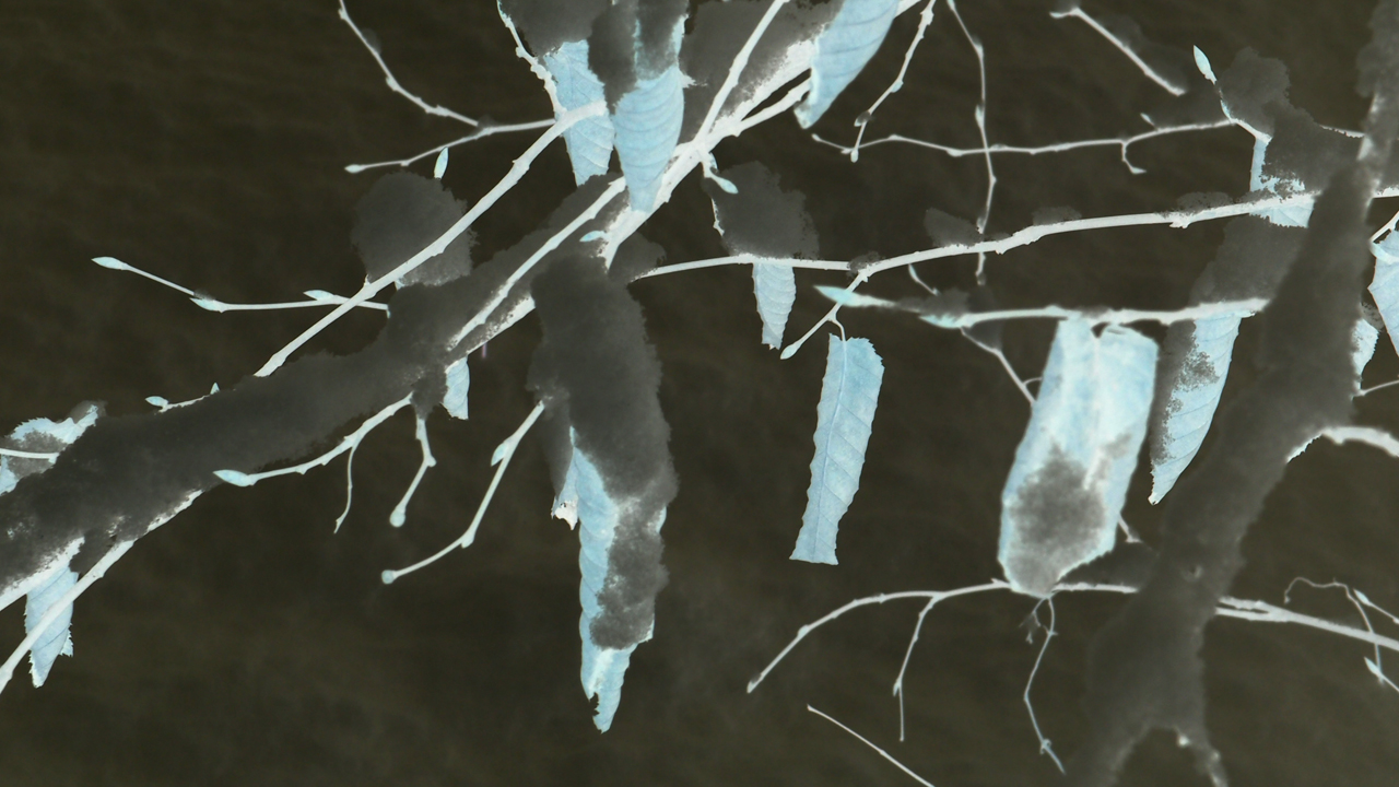 2021-01-30 Wasser in der Sp�le II (Remix Sonatas & Interludes, On-Off) (Komposition, Remix, Recording, Foto)